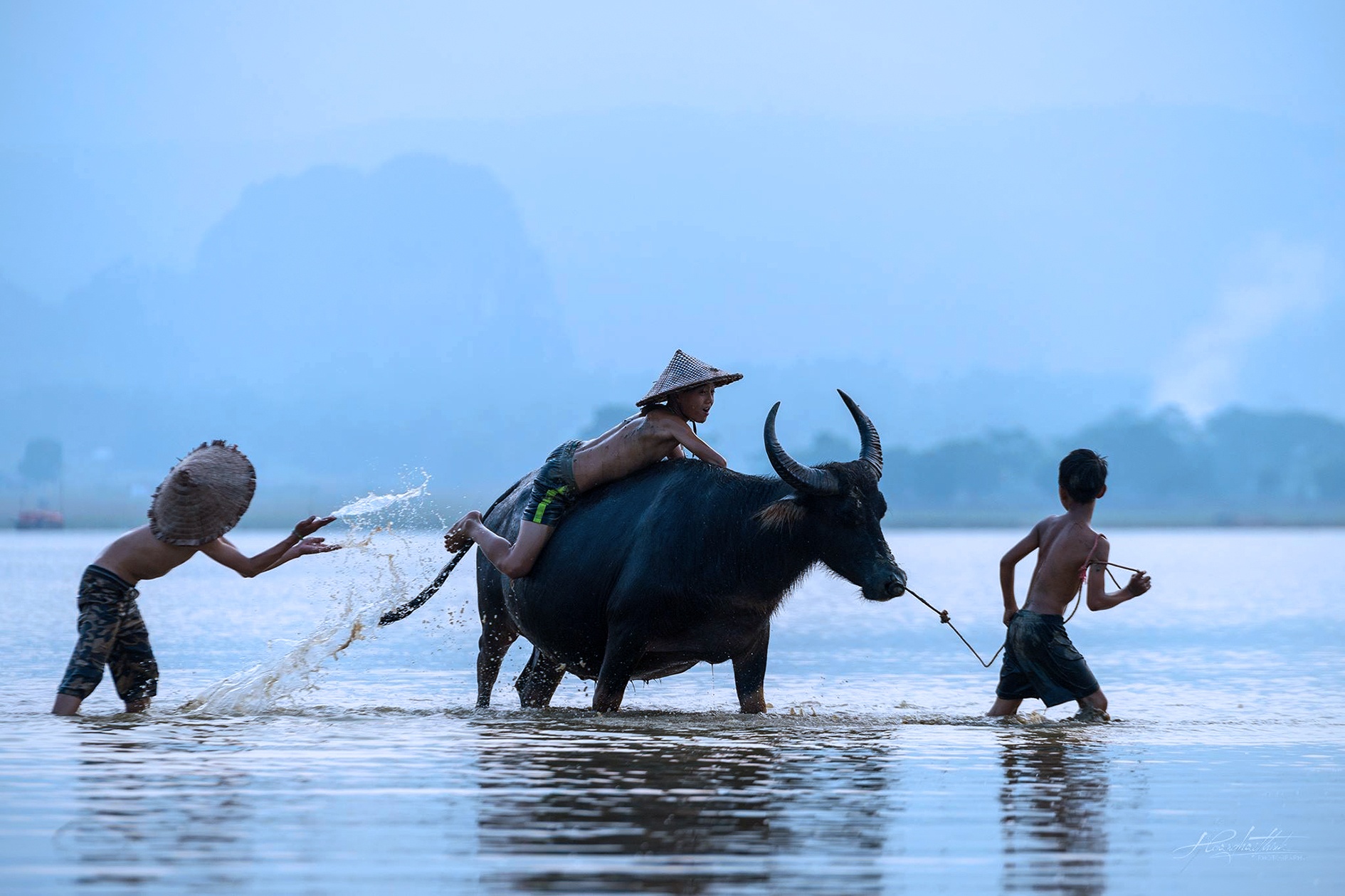 trien lam Viet Nam tai chau Au anh 6