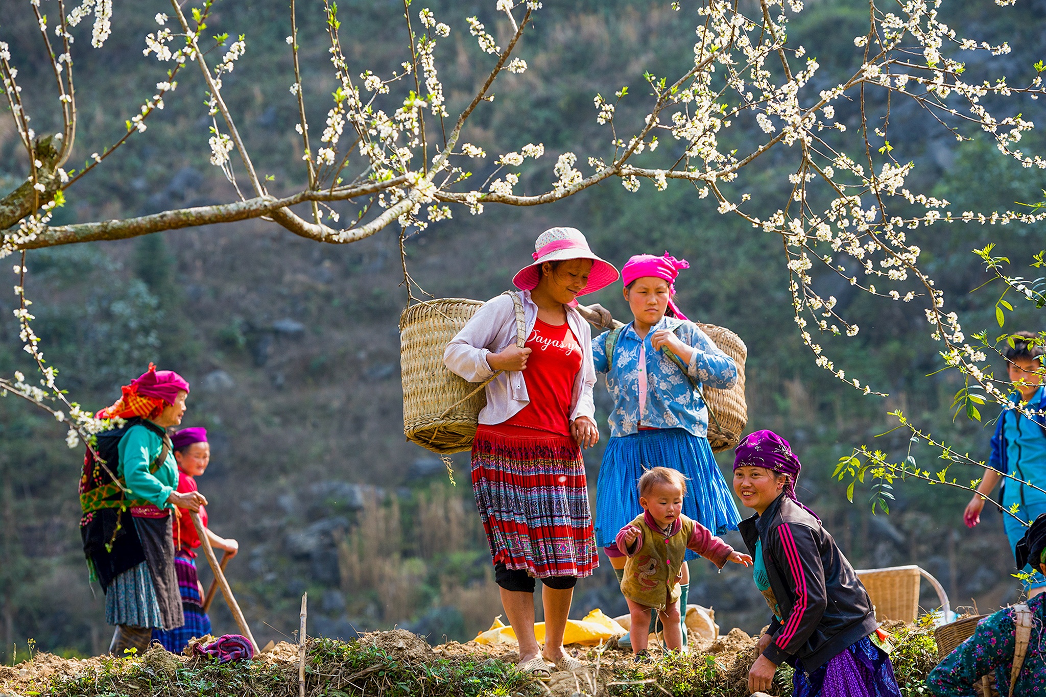trien lam Viet Nam tai chau Au anh 8
