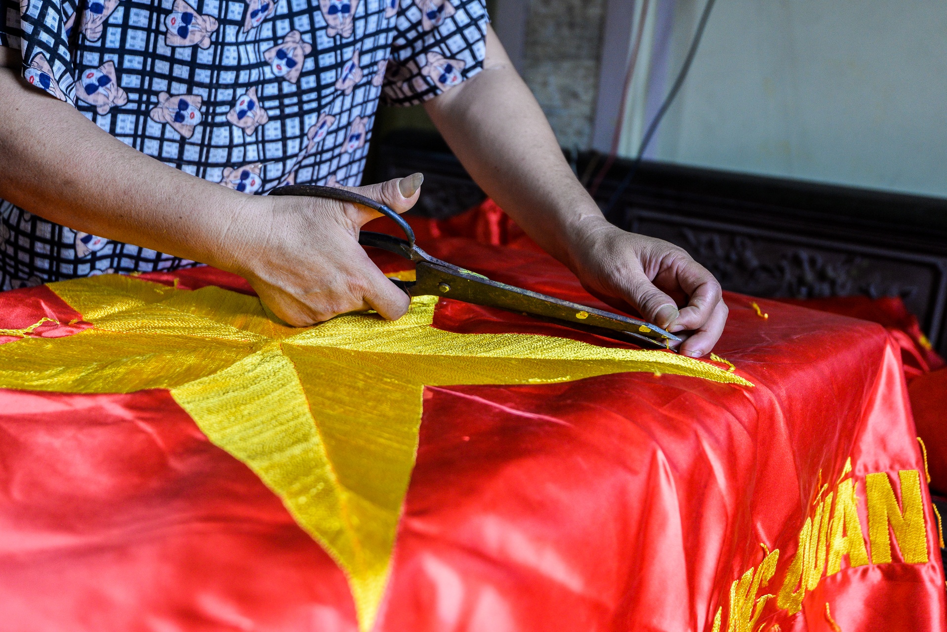 co To quoc va niem tu hao dan toc anh 3