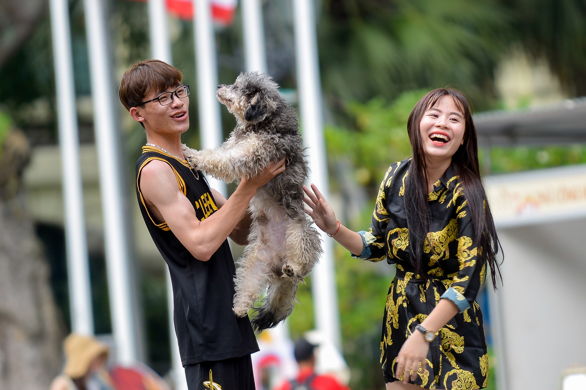 Cam cho vao pho di bo anh 3