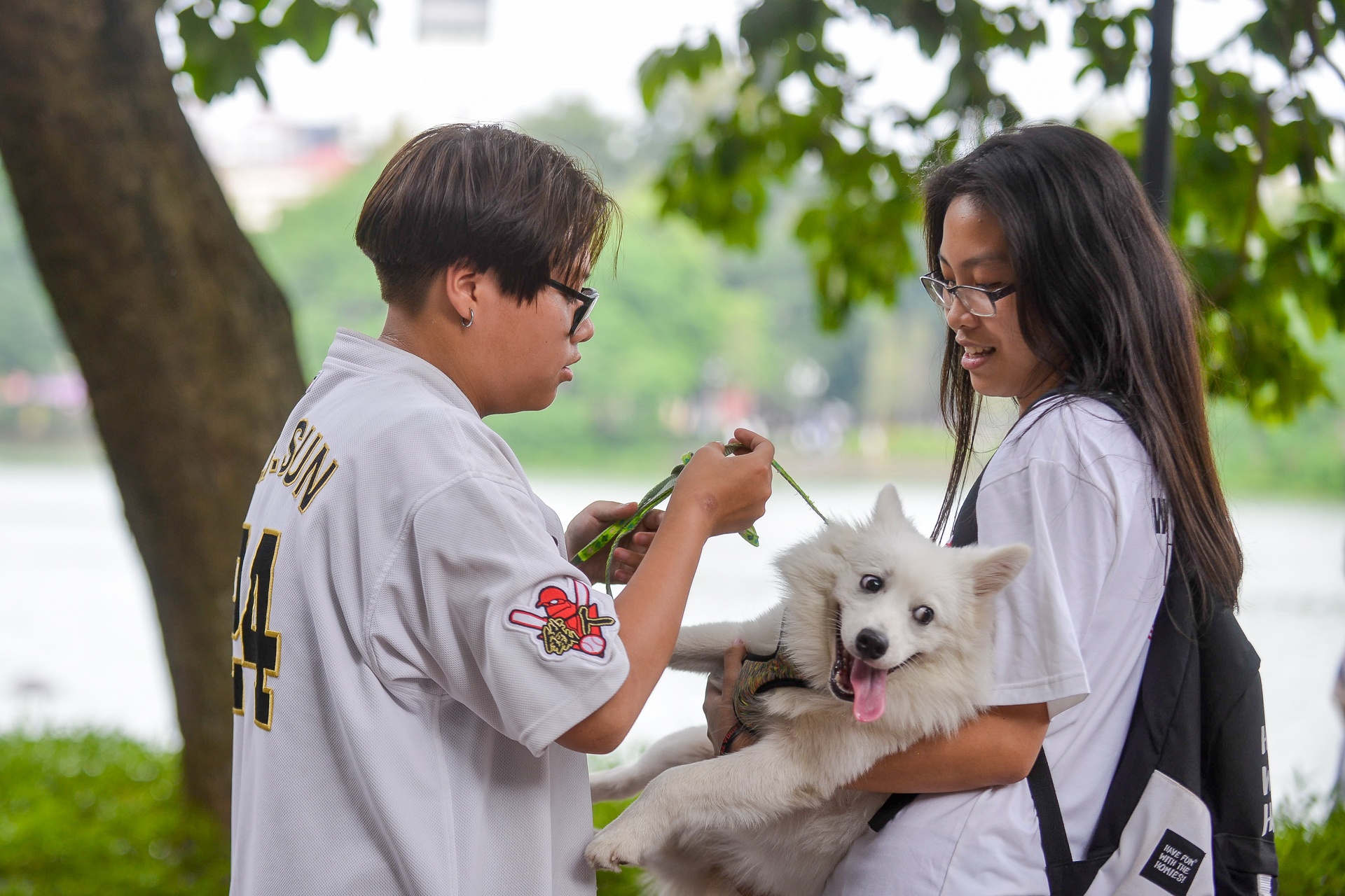 Cam cho vao pho di bo anh 5