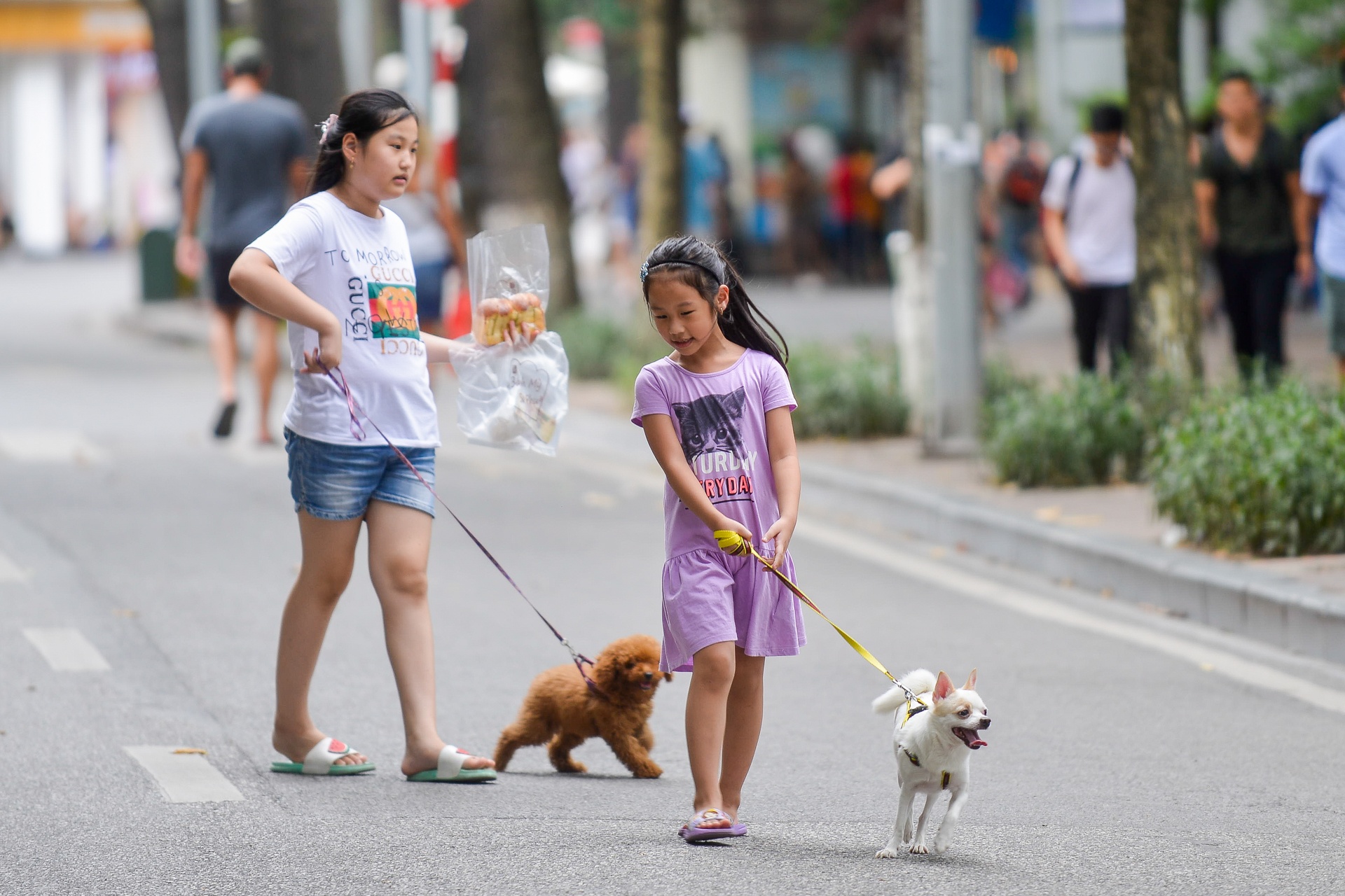 Cam cho vao pho di bo anh 7