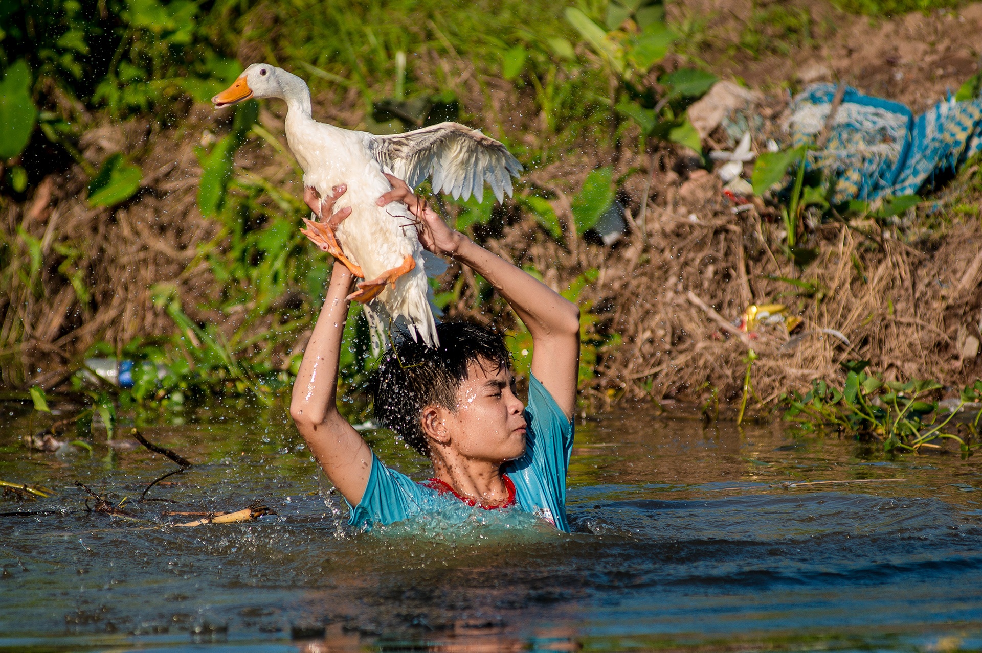 Tet Trung thu o Nam Dinh anh 7