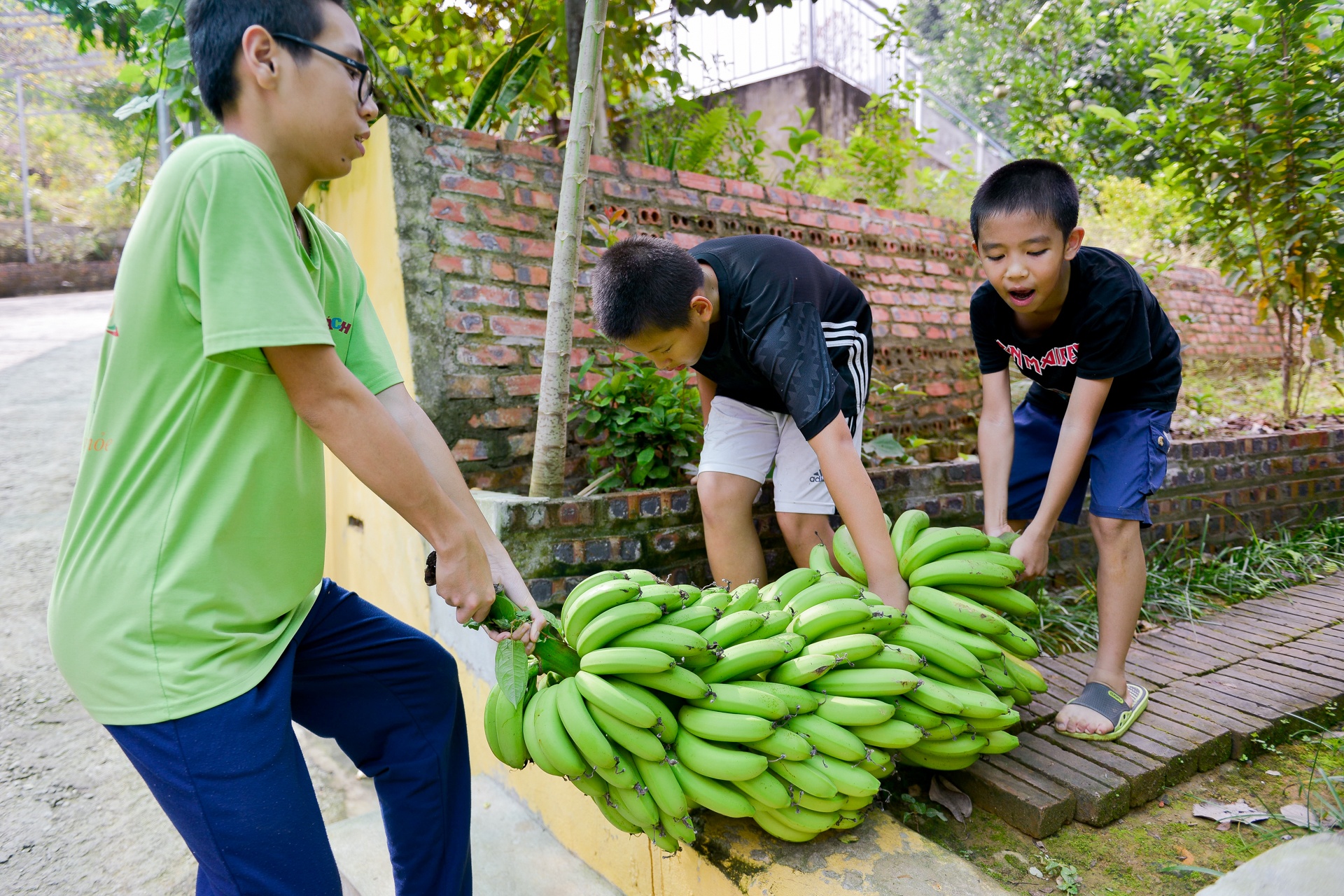 ngôi trường trên đồi của học sinh thành phố ảnh 30 ngoi truong tren doi cua hoc sinh thanh pho anh 30
