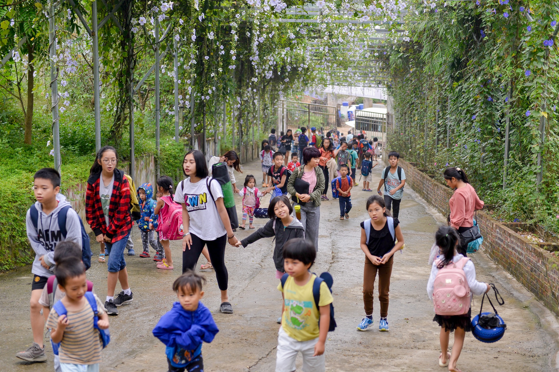 ngôi trường trên đồi của học sinh thành phố ảnh 11 ngoi truong tren doi cua hoc sinh thanh pho anh 11