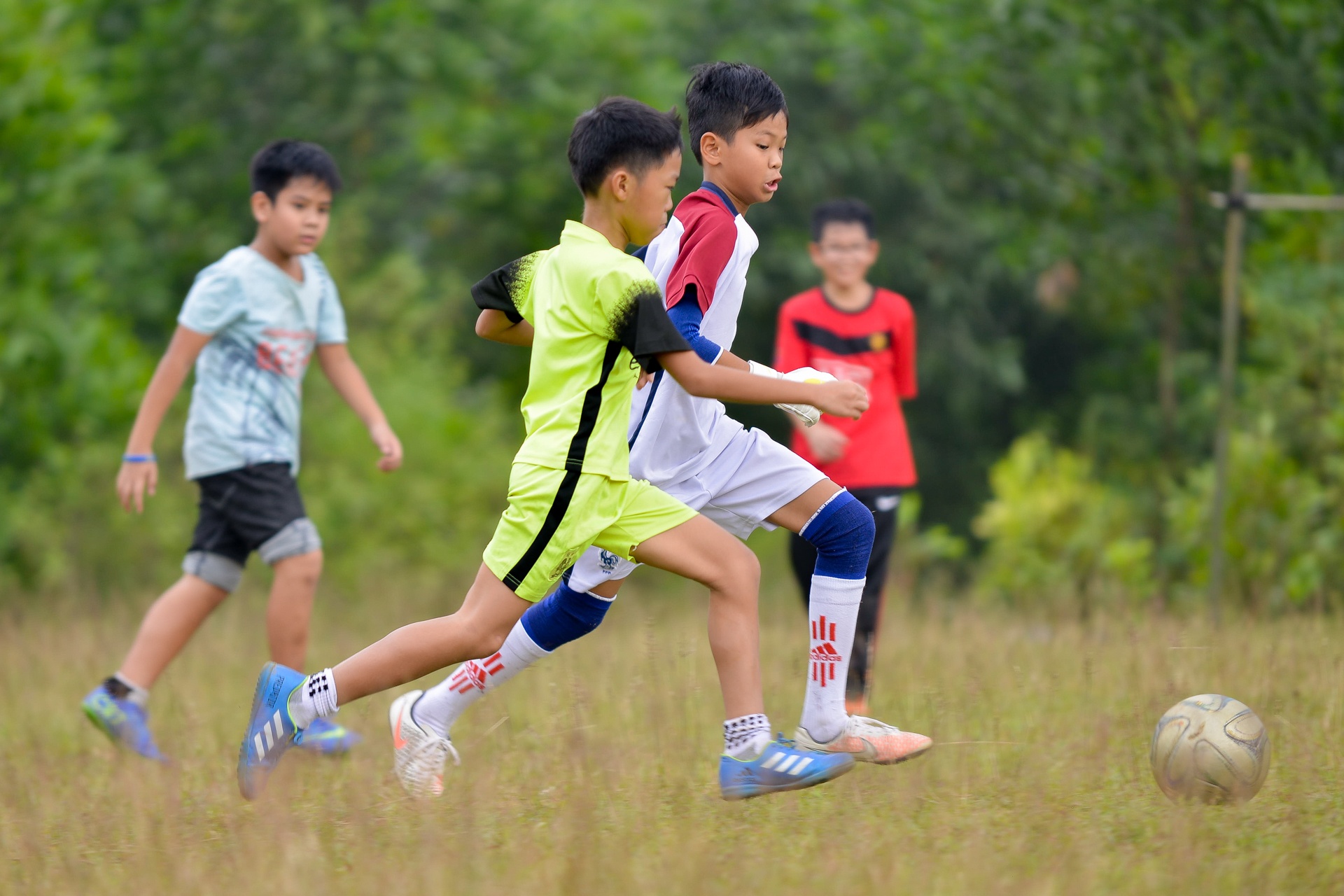 ngôi trường trên đồi của học sinh thành phố ảnh 23 ngoi truong tren doi cua hoc sinh thanh pho anh 23