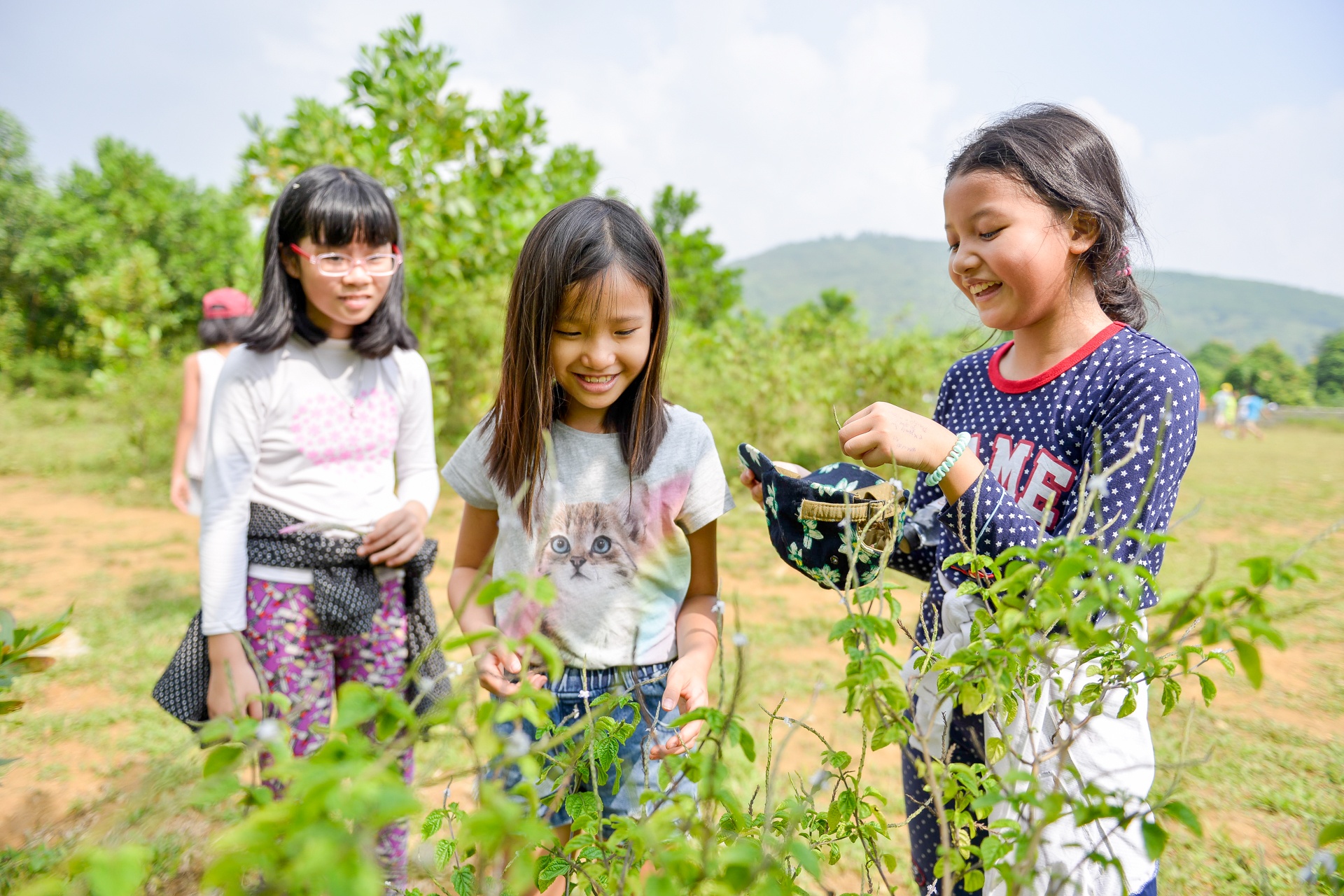 ngôi trường trên đồi của học sinh thành phố ảnh 19 ngoi truong tren doi cua hoc sinh thanh pho anh 19