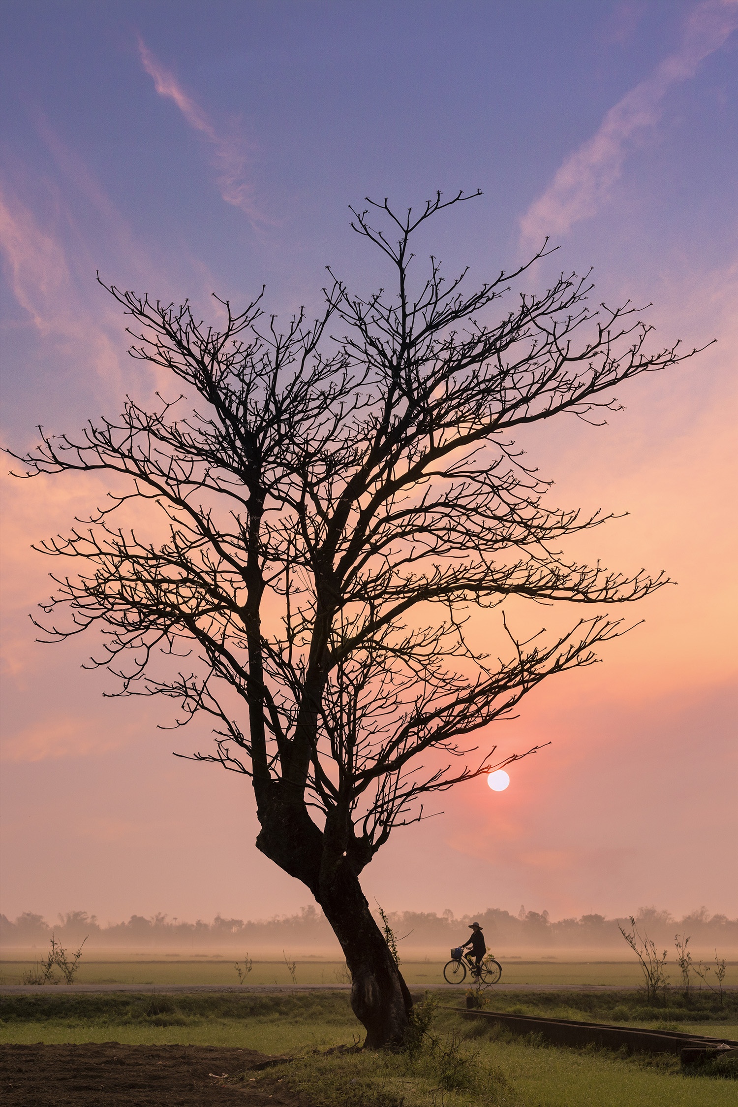 ve dep cua xu hue mong mo anh 23