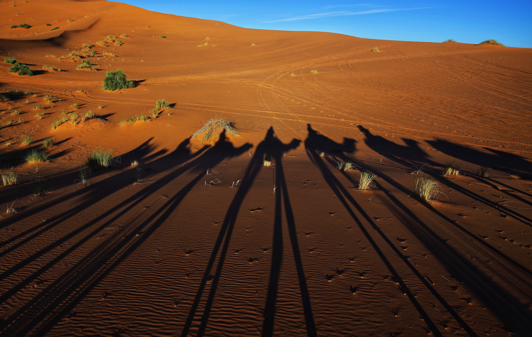 cưỡi lạc đà ở sa mạc Sahara ảnh 13 cuoi lac da o sa mac Sahara anh 13