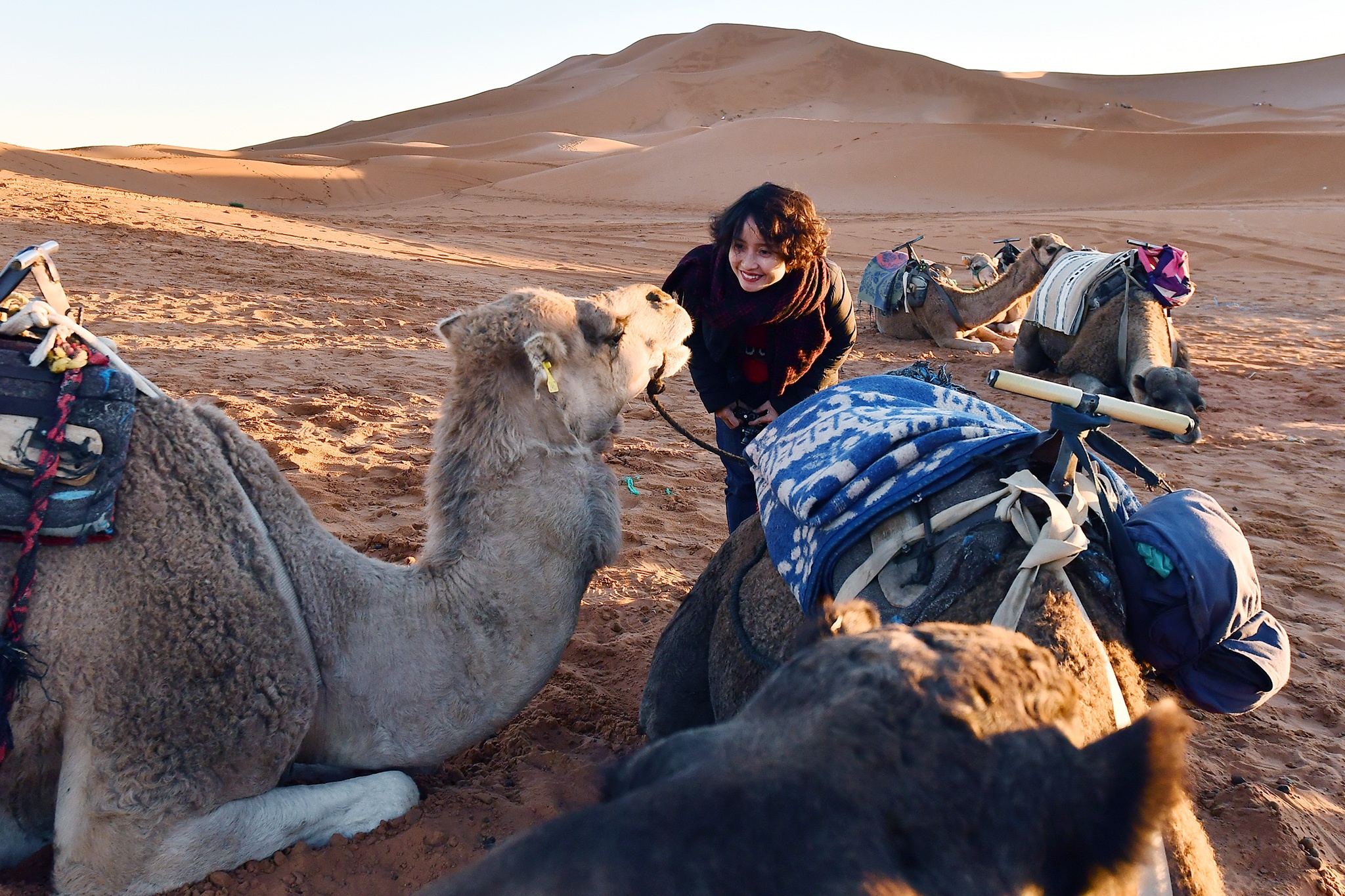 cưỡi lạc đà ở sa mạc Sahara ảnh 5 cuoi lac da o sa mac Sahara anh 5