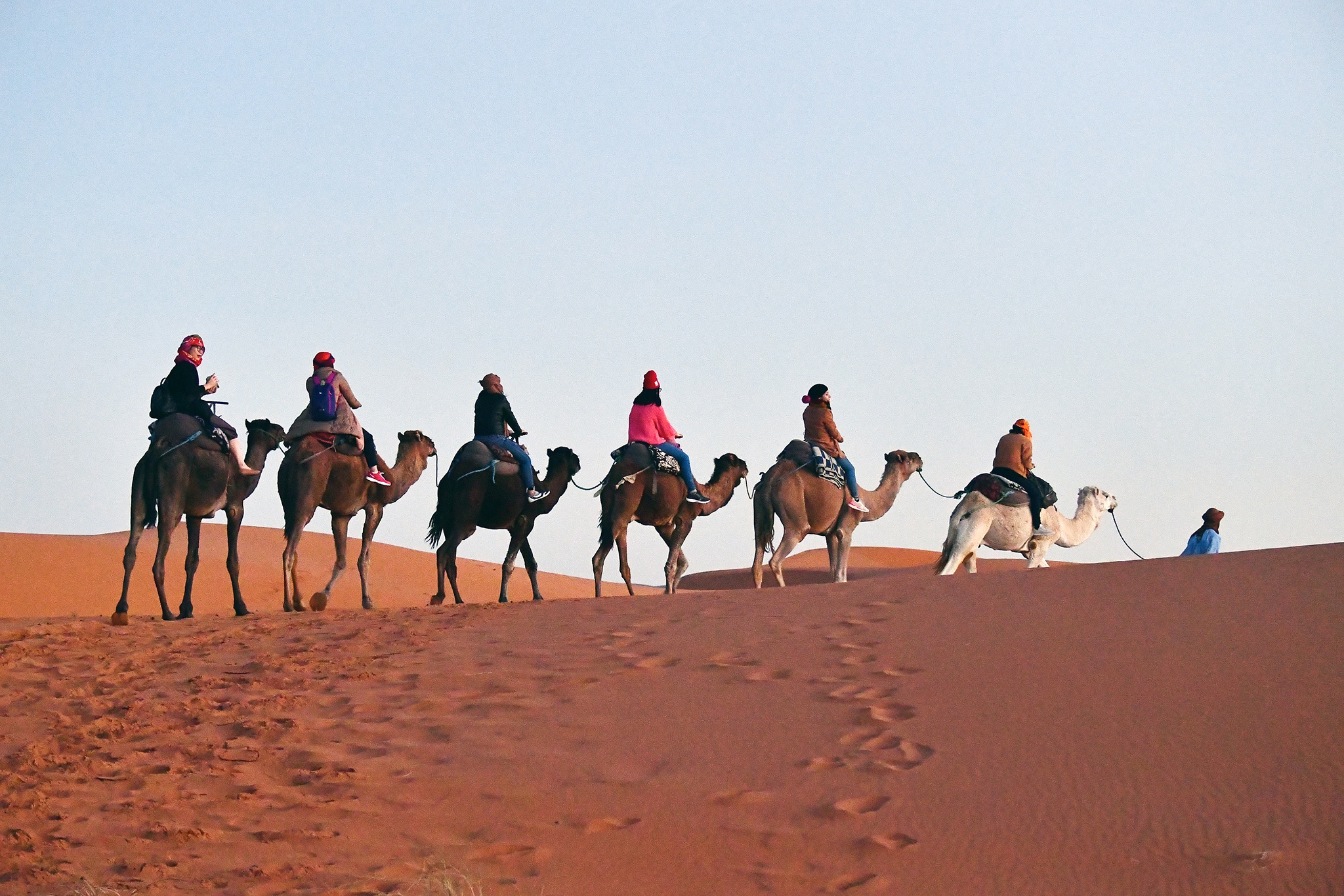cưỡi lạc đà ở sa mạc Sahara ảnh 15 cuoi lac da o sa mac Sahara anh 15