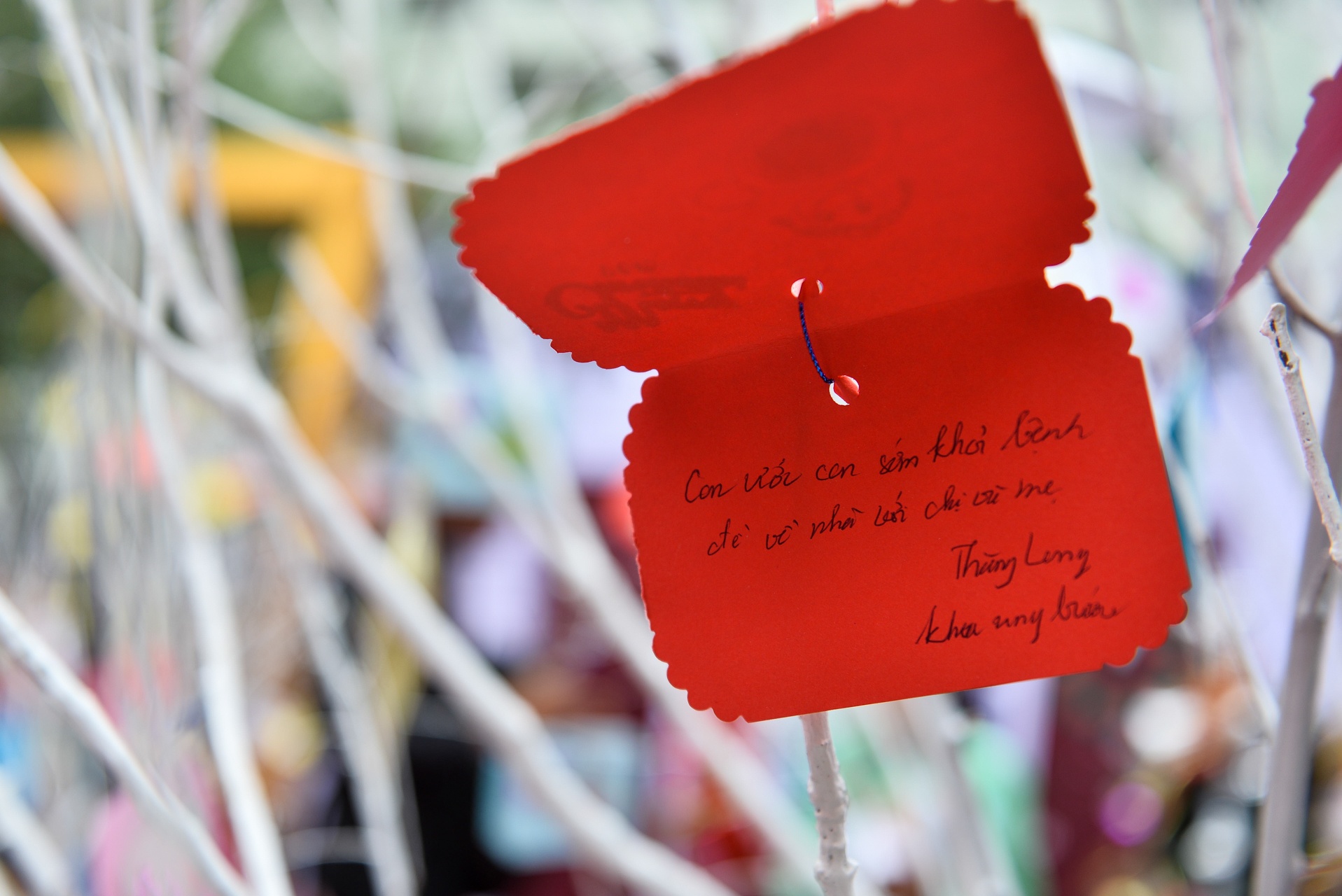 tre em vien Nhi vui Giang sinh anh 8