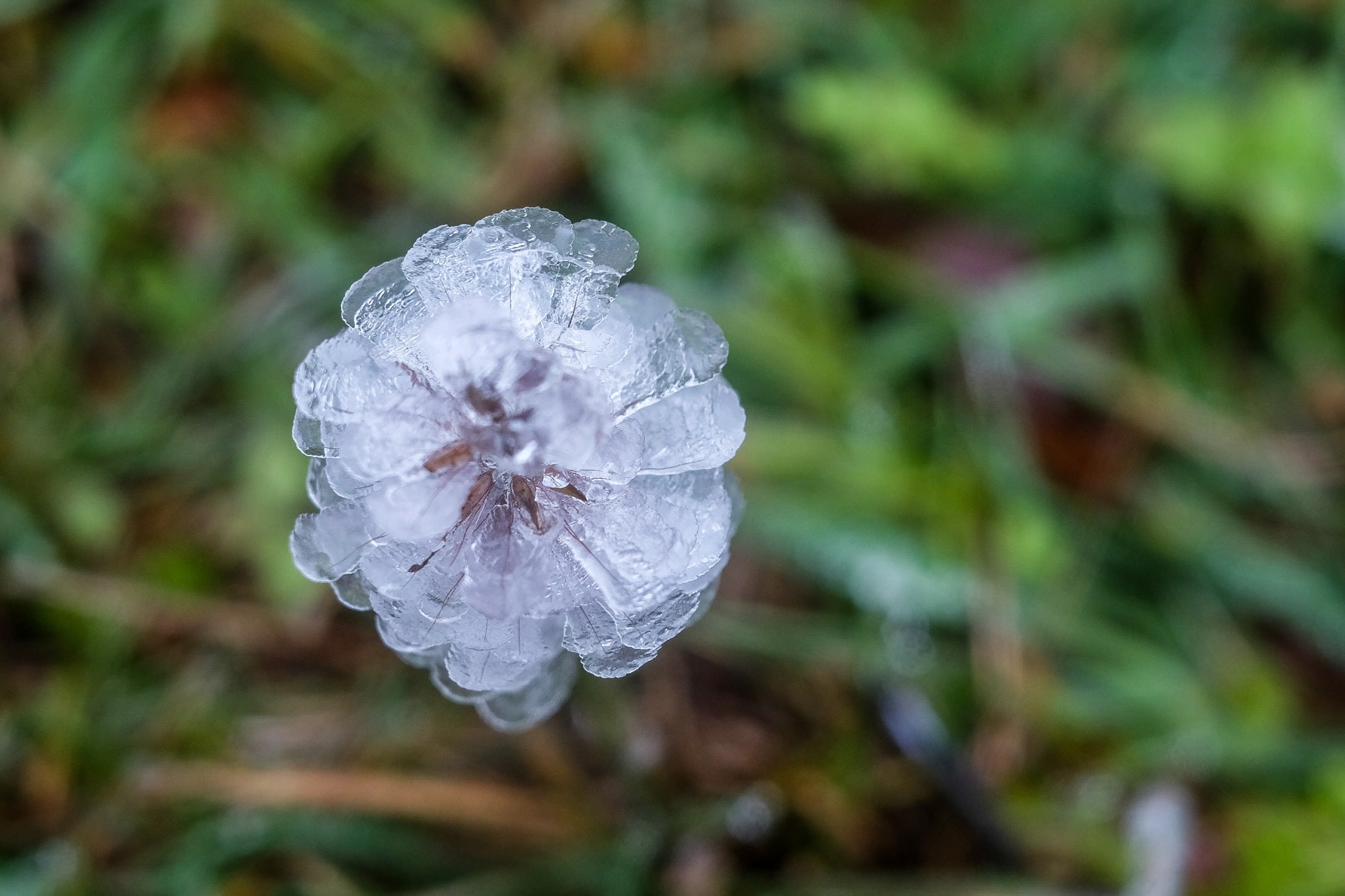 bang tuyet tren dinh Mau Son anh 11