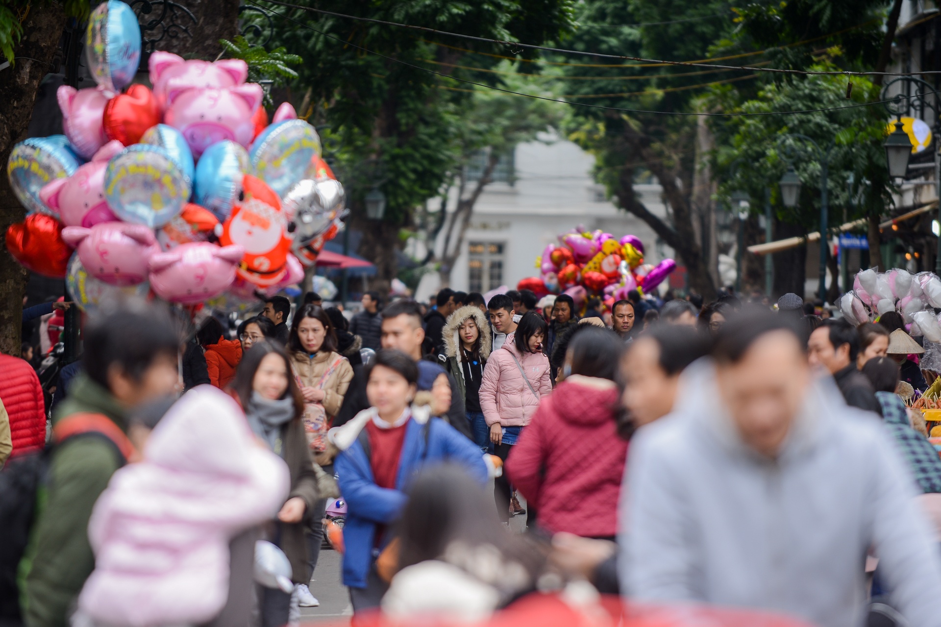du xuan ngay tet anh 1