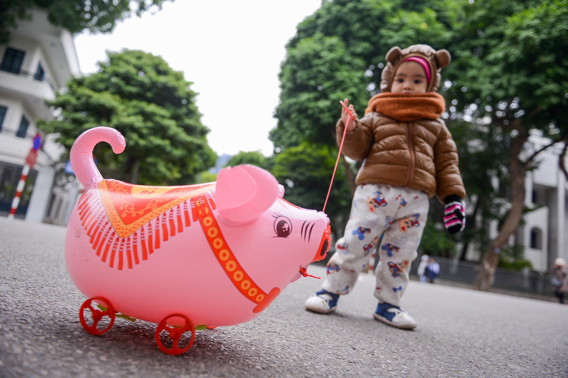 du xuan ngay tet anh 10