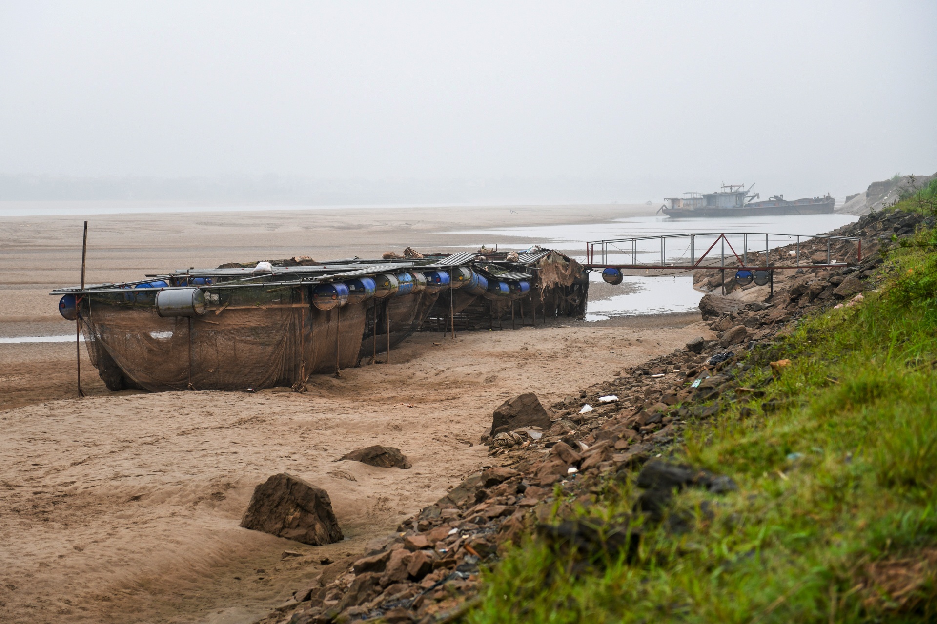 song Da can nuoc ca chet hang loat anh 6