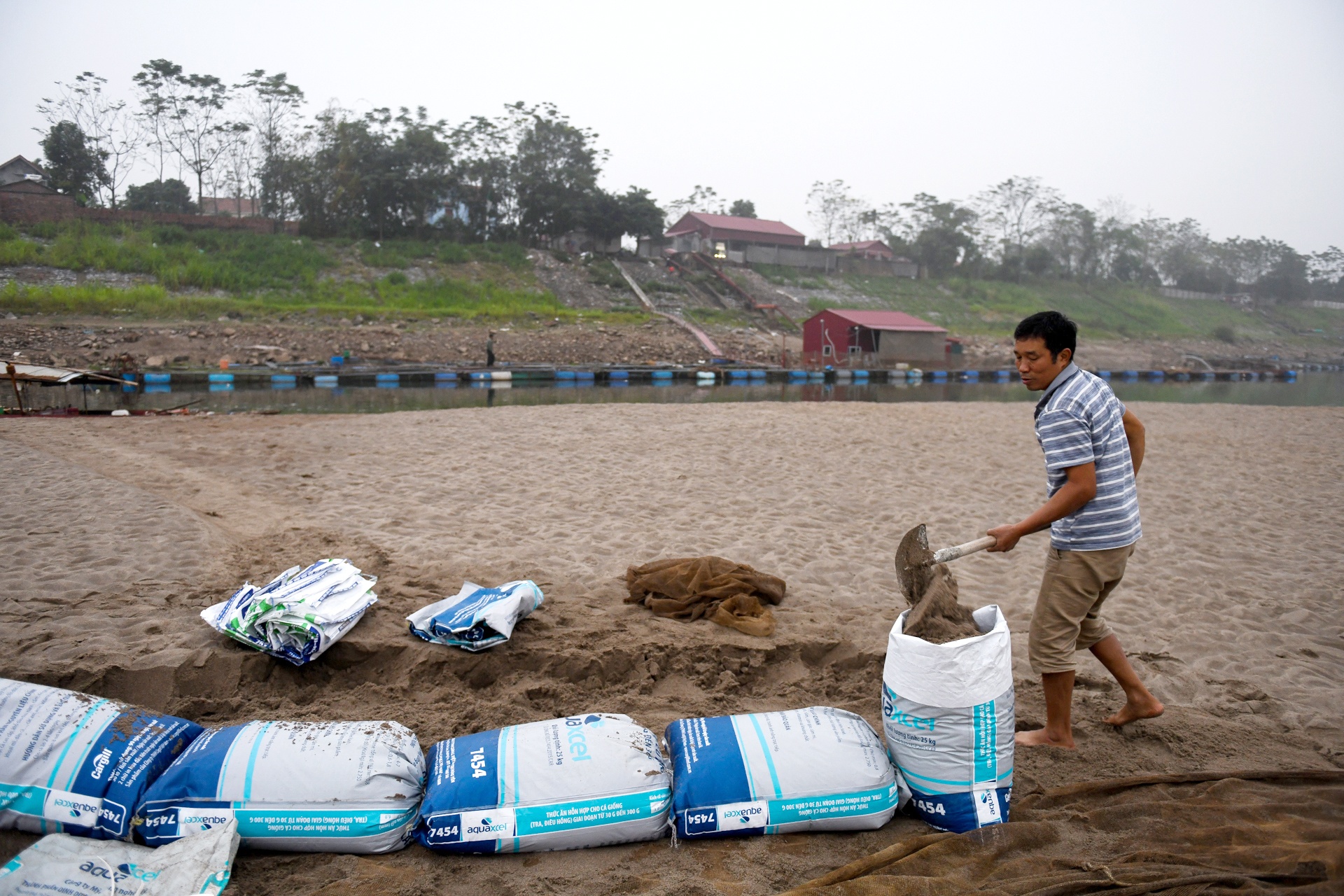 song Da can nuoc ca chet hang loat anh 29