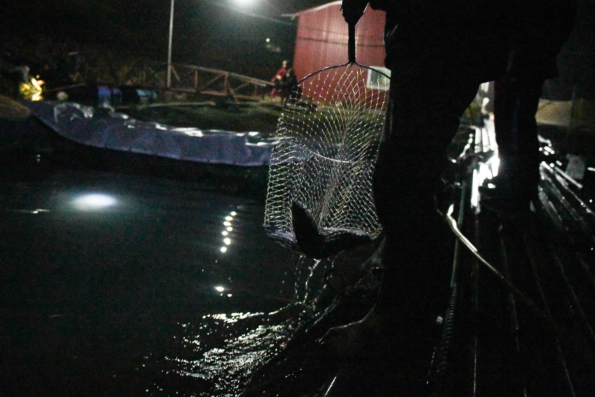 song Da can nuoc ca chet hang loat anh 16