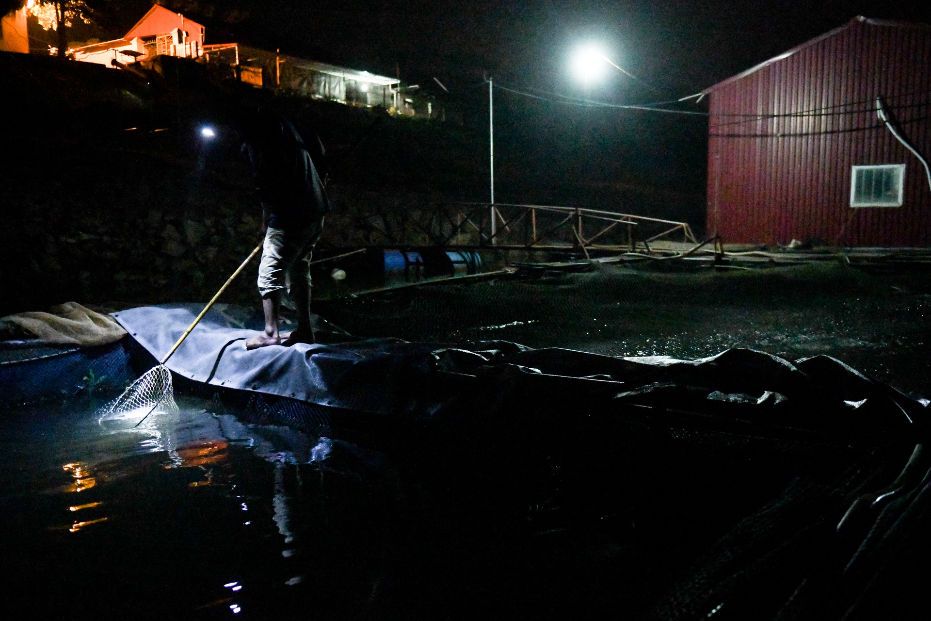 song Da can nuoc ca chet hang loat anh 14