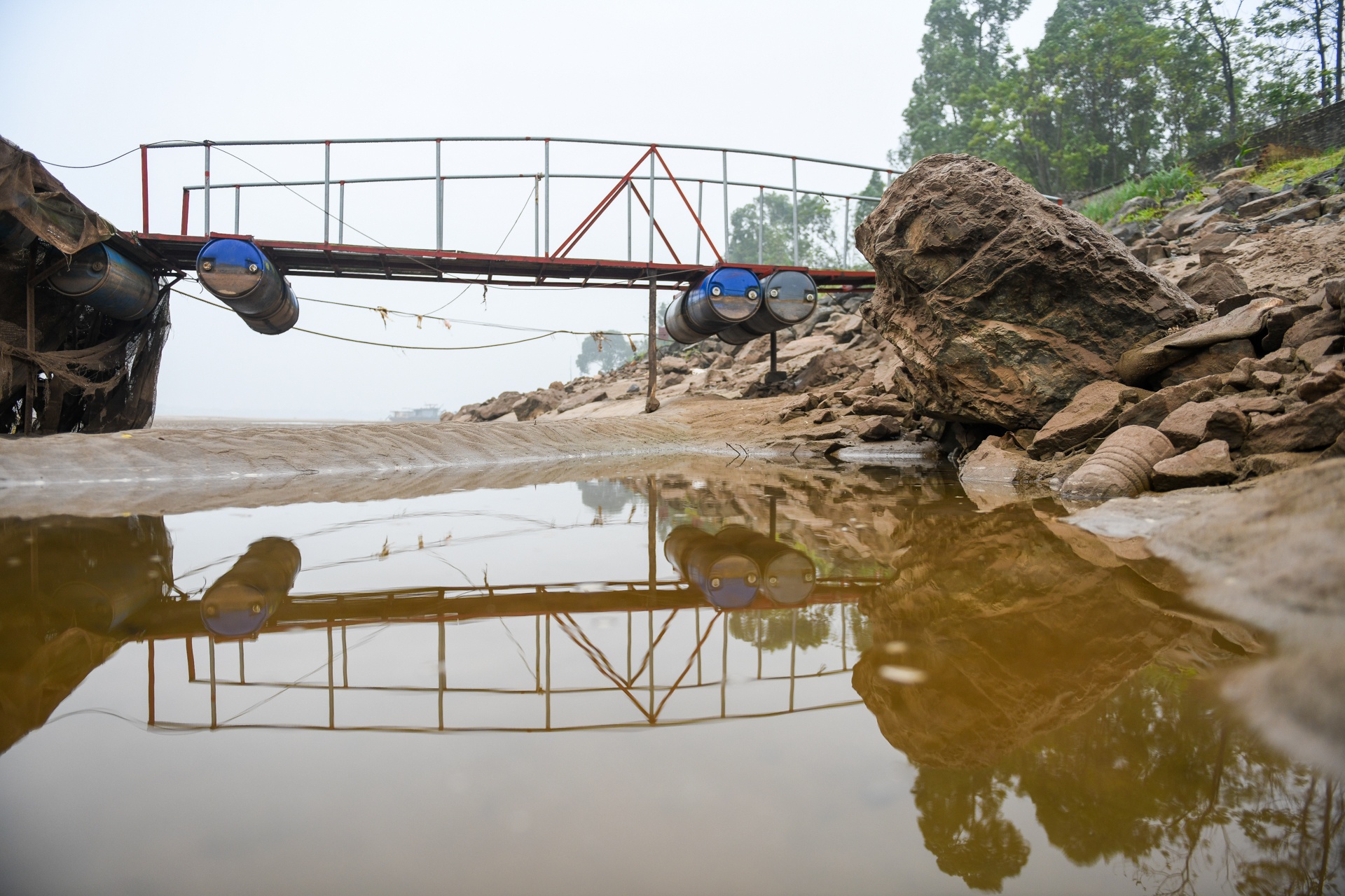 song Da can nuoc ca chet hang loat anh 5