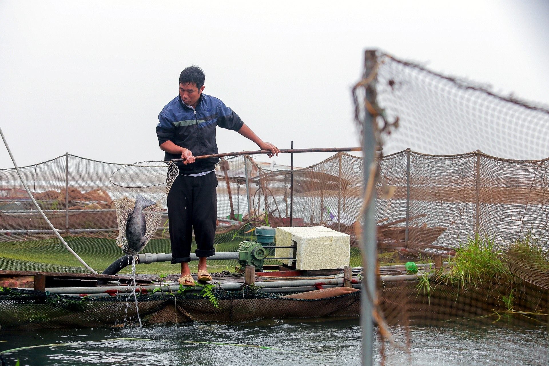 song Da can nuoc ca chet hang loat anh 26