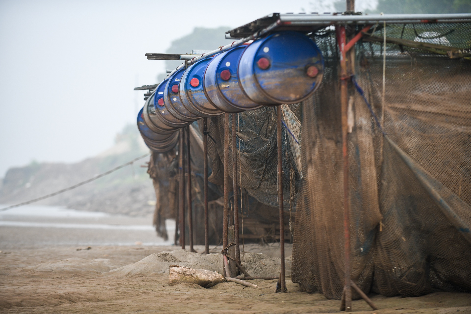 song Da can nuoc ca chet hang loat anh 2