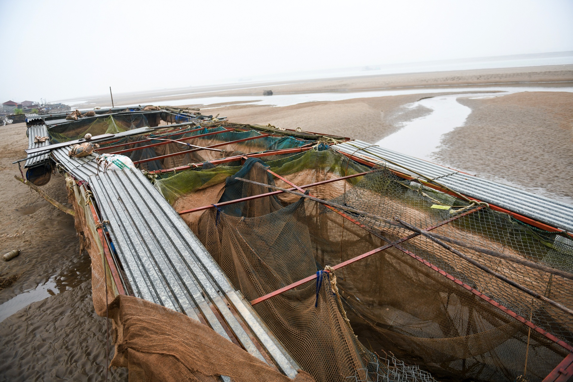 song Da can nuoc ca chet hang loat anh 4