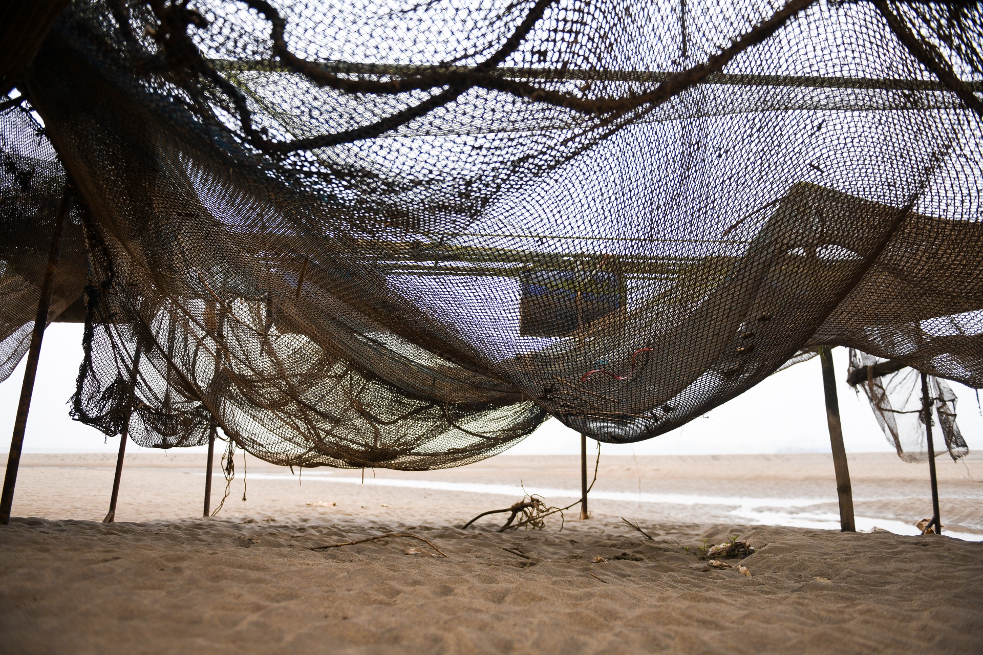 song Da can nuoc ca chet hang loat anh 3