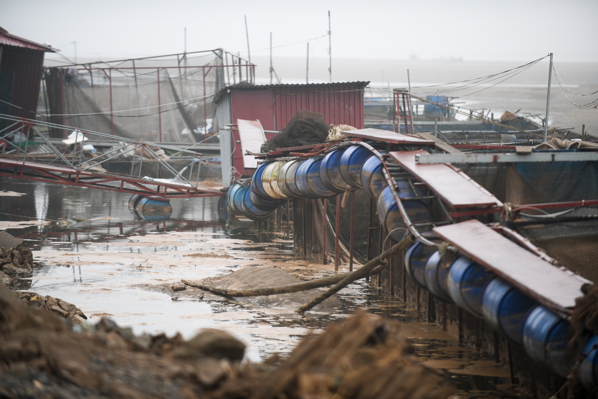 song Da can nuoc ca chet hang loat anh 8