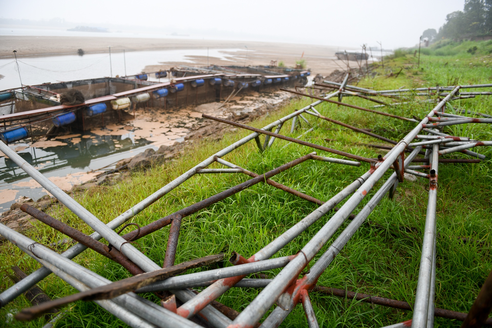 song Da can nuoc ca chet hang loat anh 9