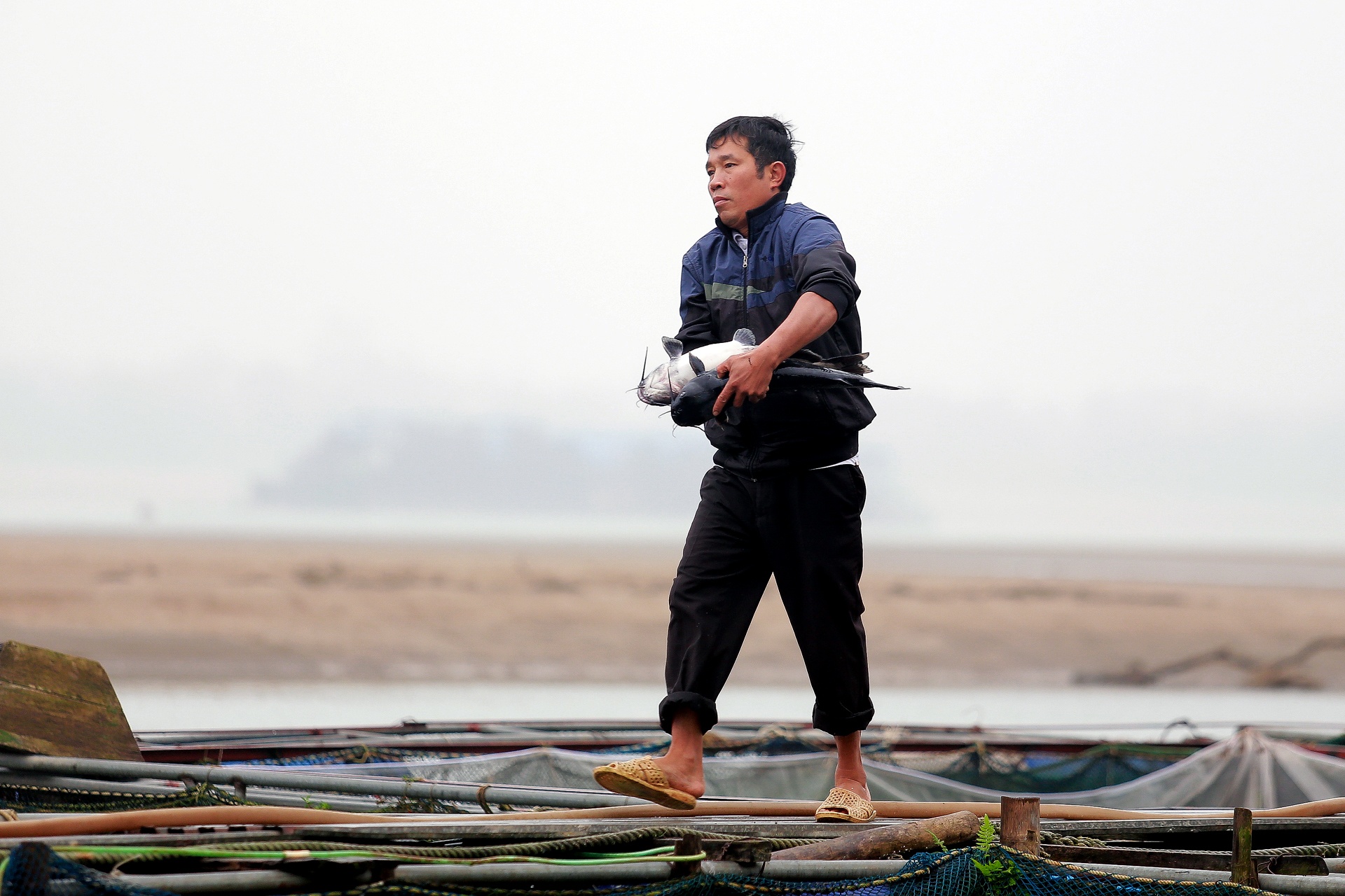 song Da can nuoc ca chet hang loat anh 27