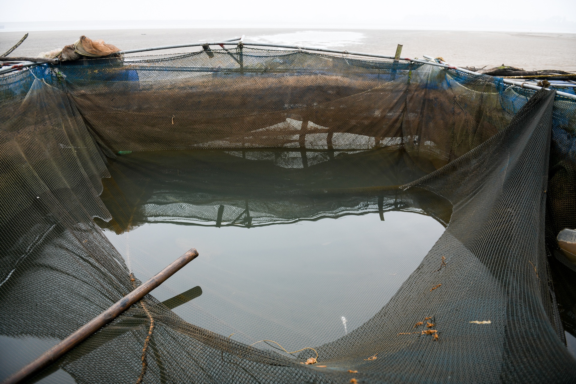 song Da can nuoc ca chet hang loat anh 7