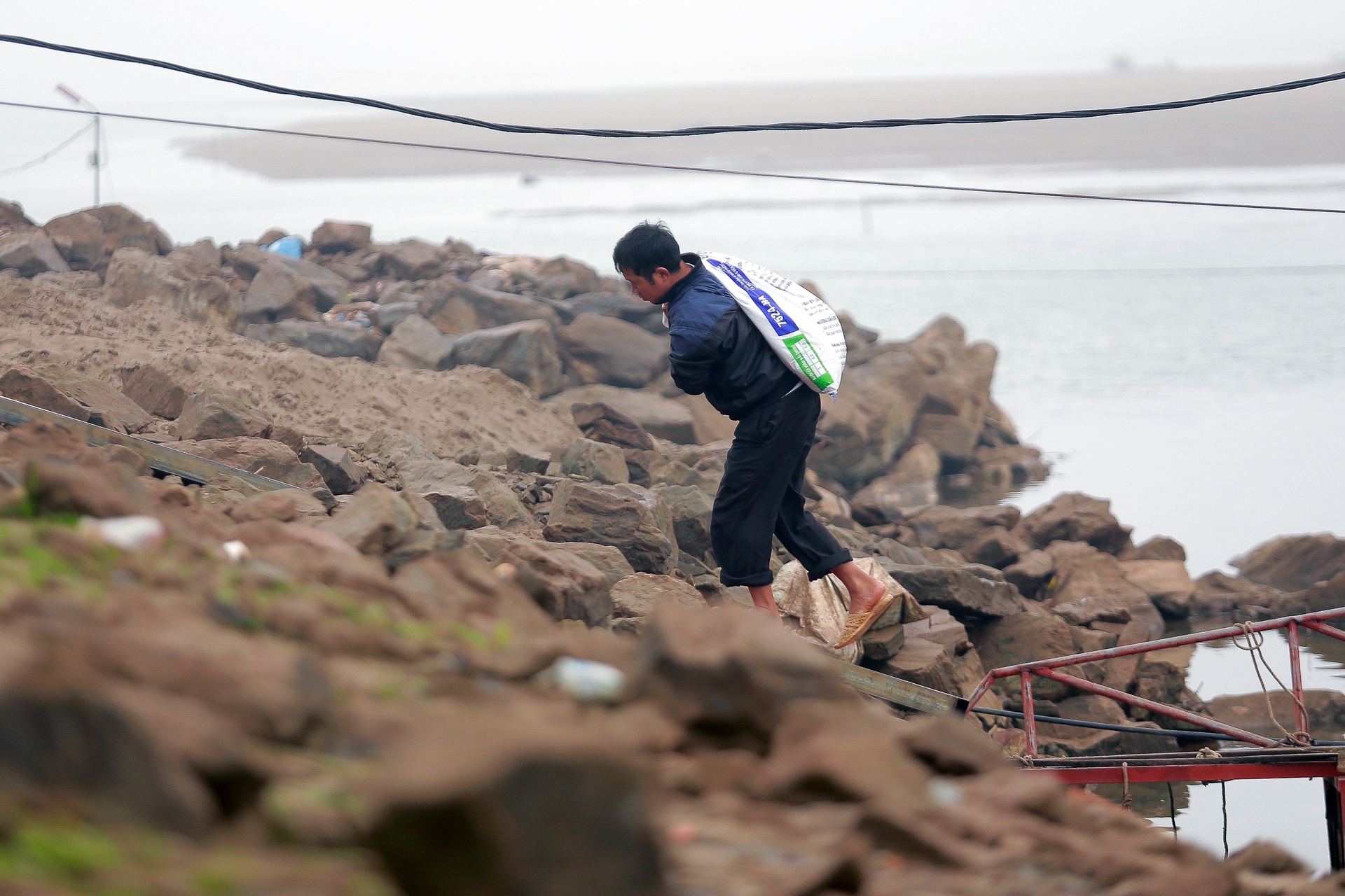 song Da can nuoc ca chet hang loat anh 28