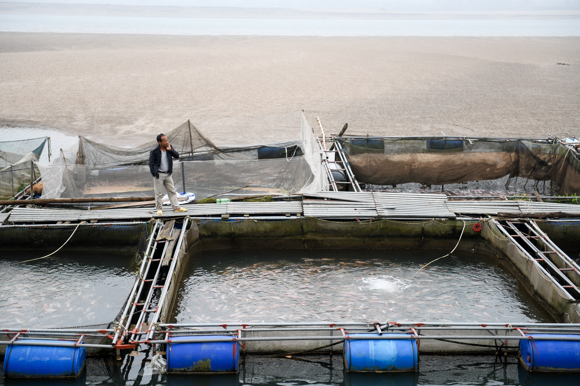 song Da can nuoc ca chet hang loat anh 24