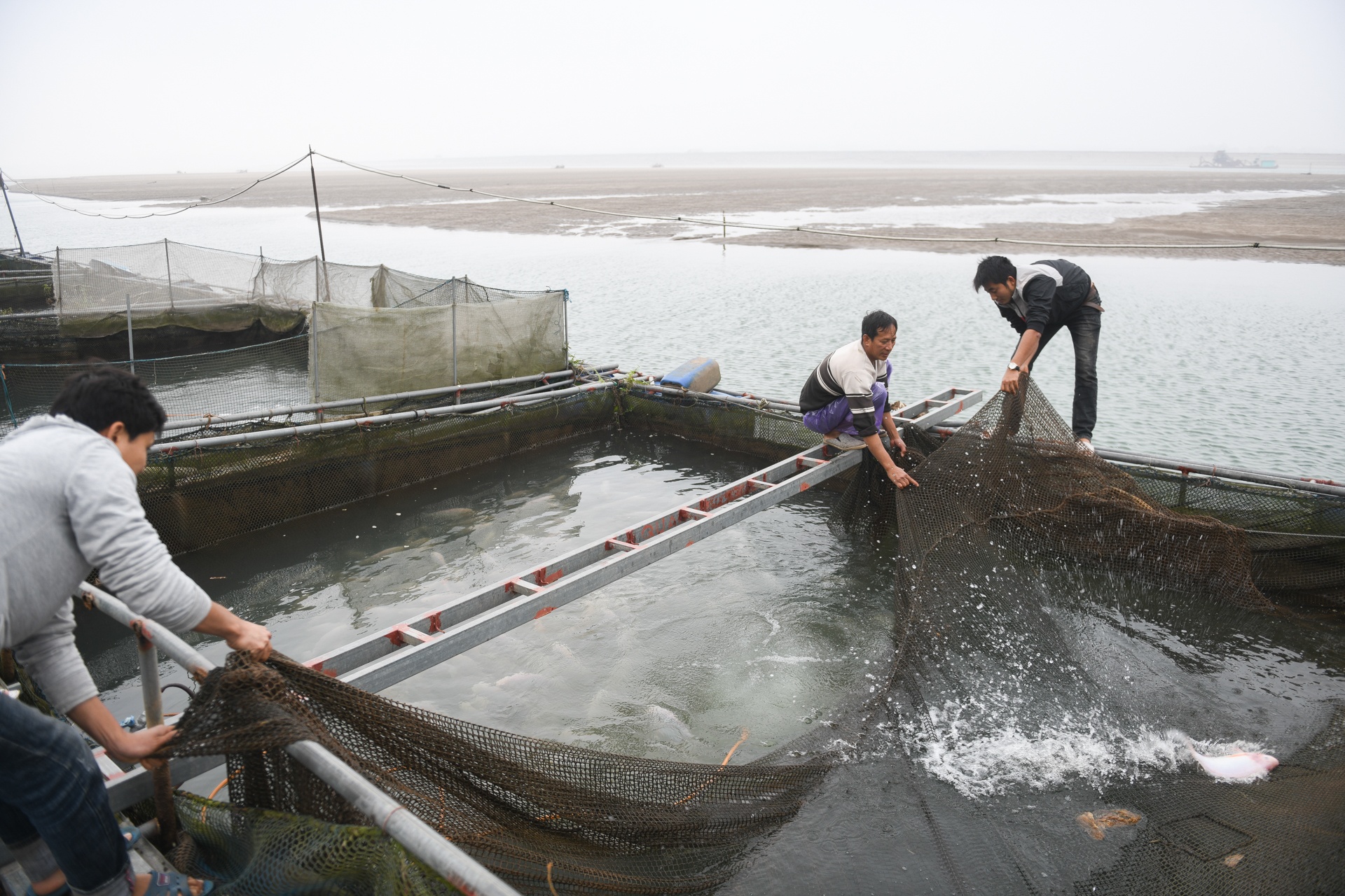 song Da can nuoc ca chet hang loat anh 19