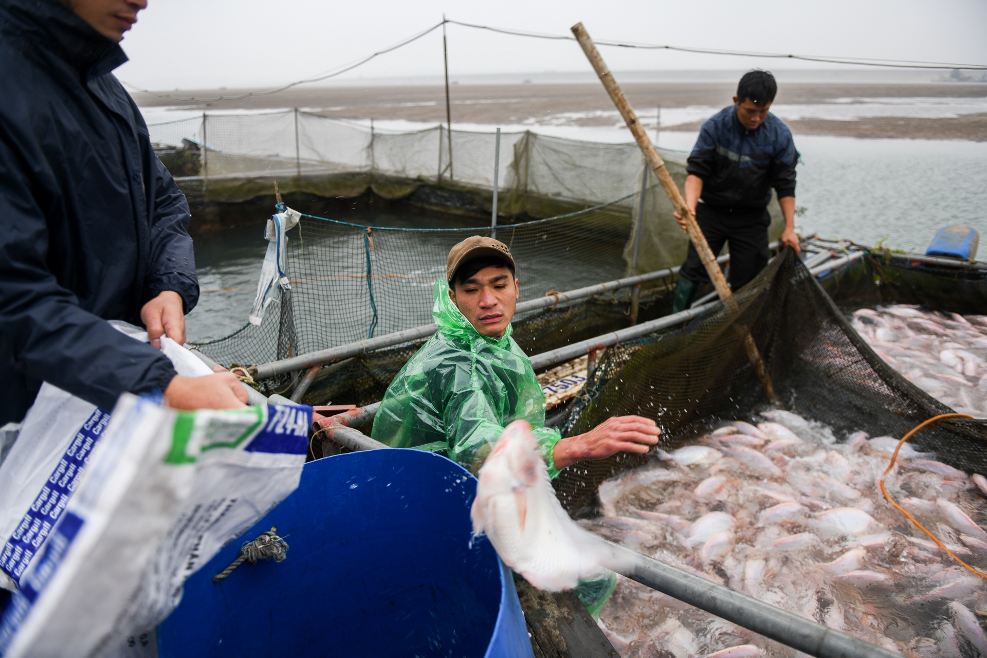 song Da can nuoc ca chet hang loat anh 20
