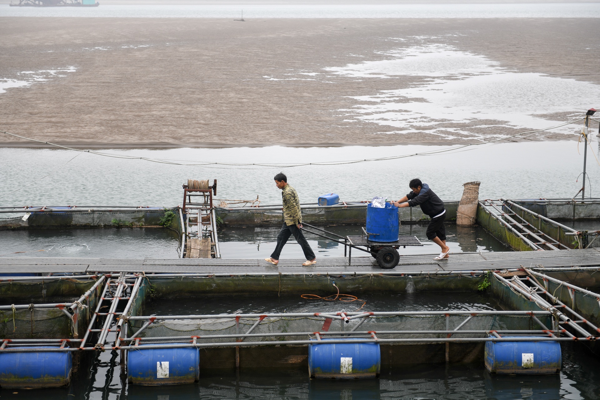 song Da can nuoc ca chet hang loat anh 23