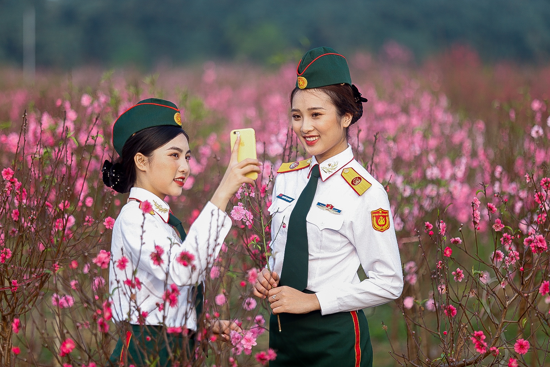 chup anh ben hoa dao anh 11