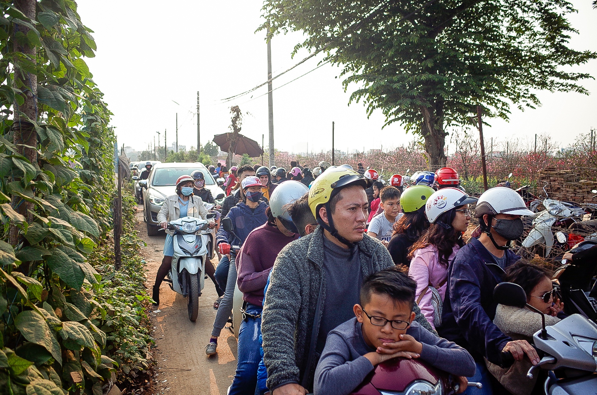 chup anh ben hoa dao anh 1