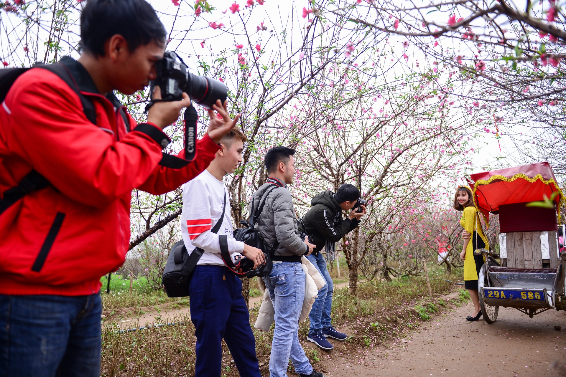 chup anh ben hoa dao anh 3