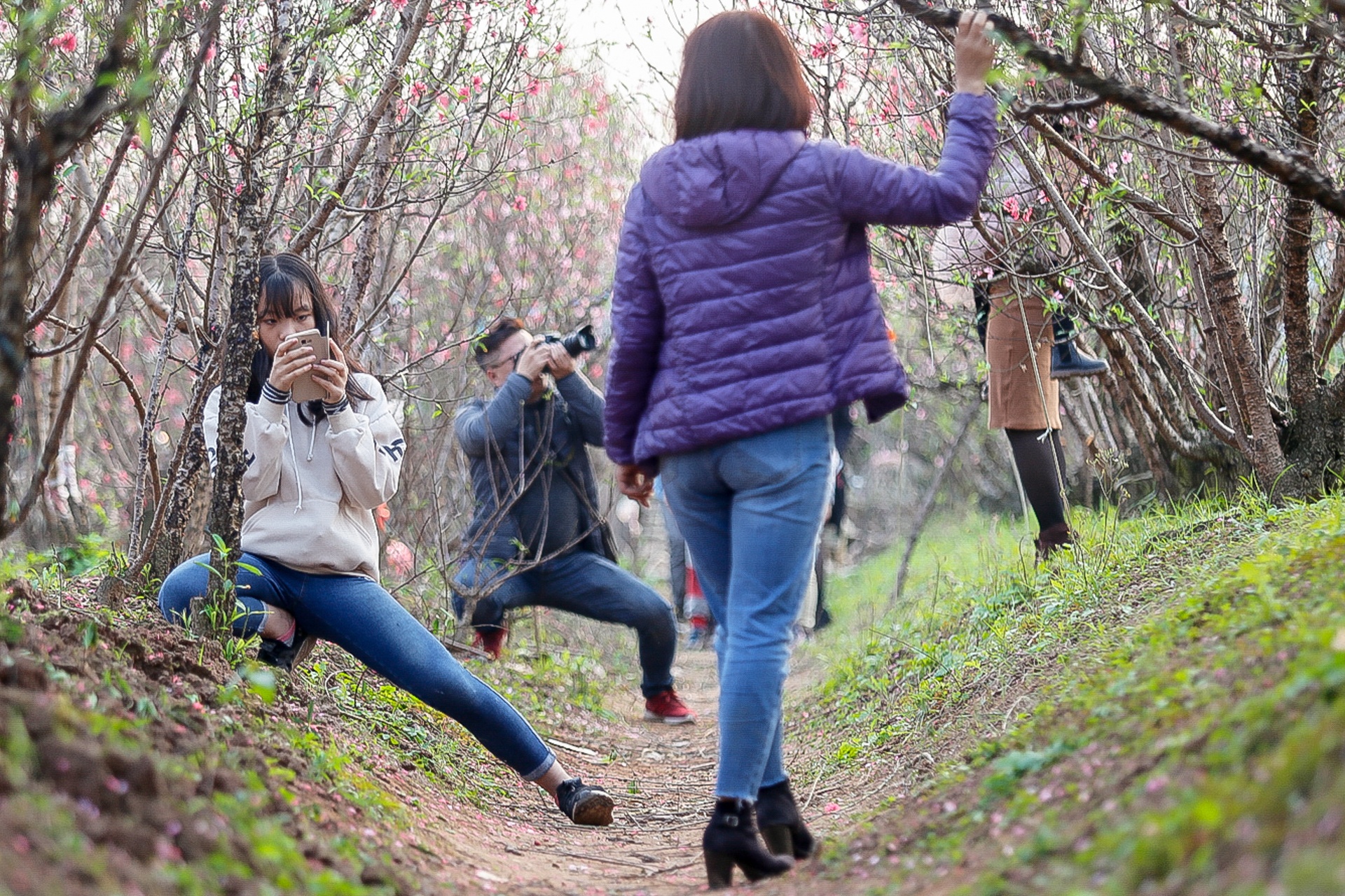 chup anh ben hoa dao anh 4