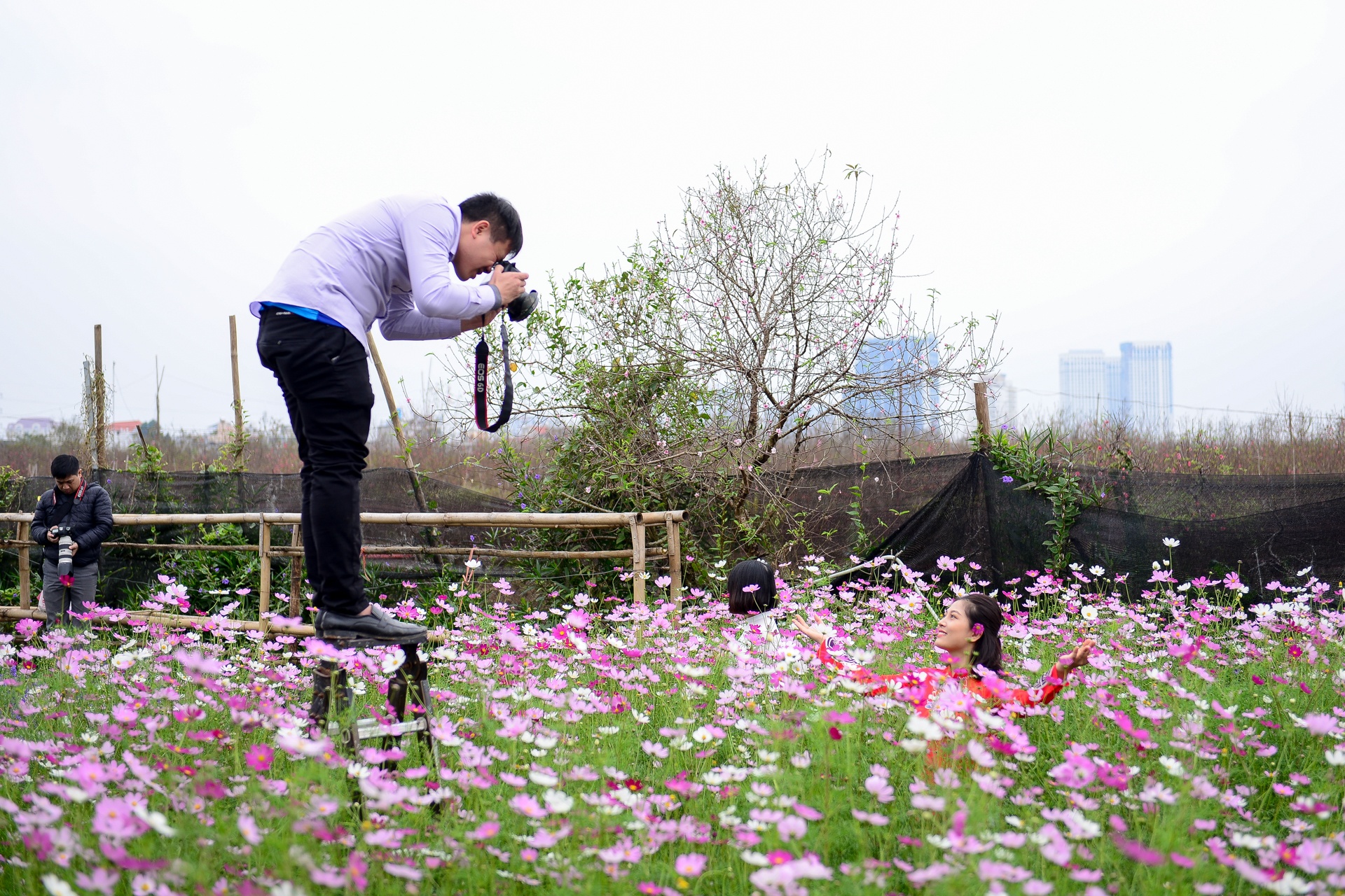chup anh ben hoa dao anh 5