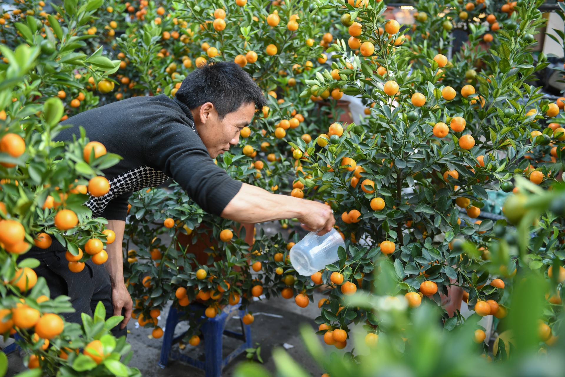 Lon dong tien trieu bay ban tren pho Ha Noi ngay can Tet anh 5