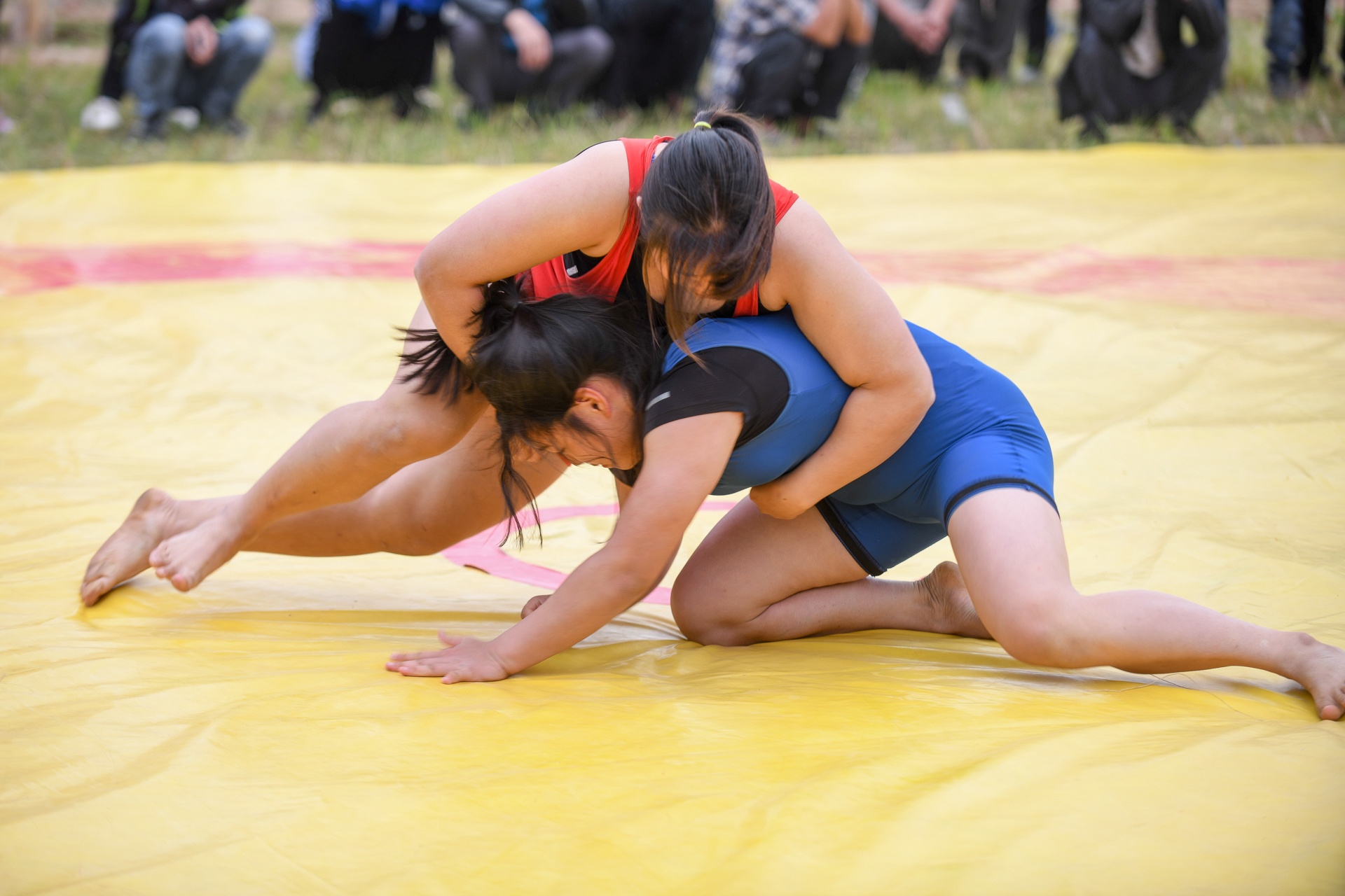 Pho thu tuong Truong Hoa Binh du le hoi Tich Dien anh 13