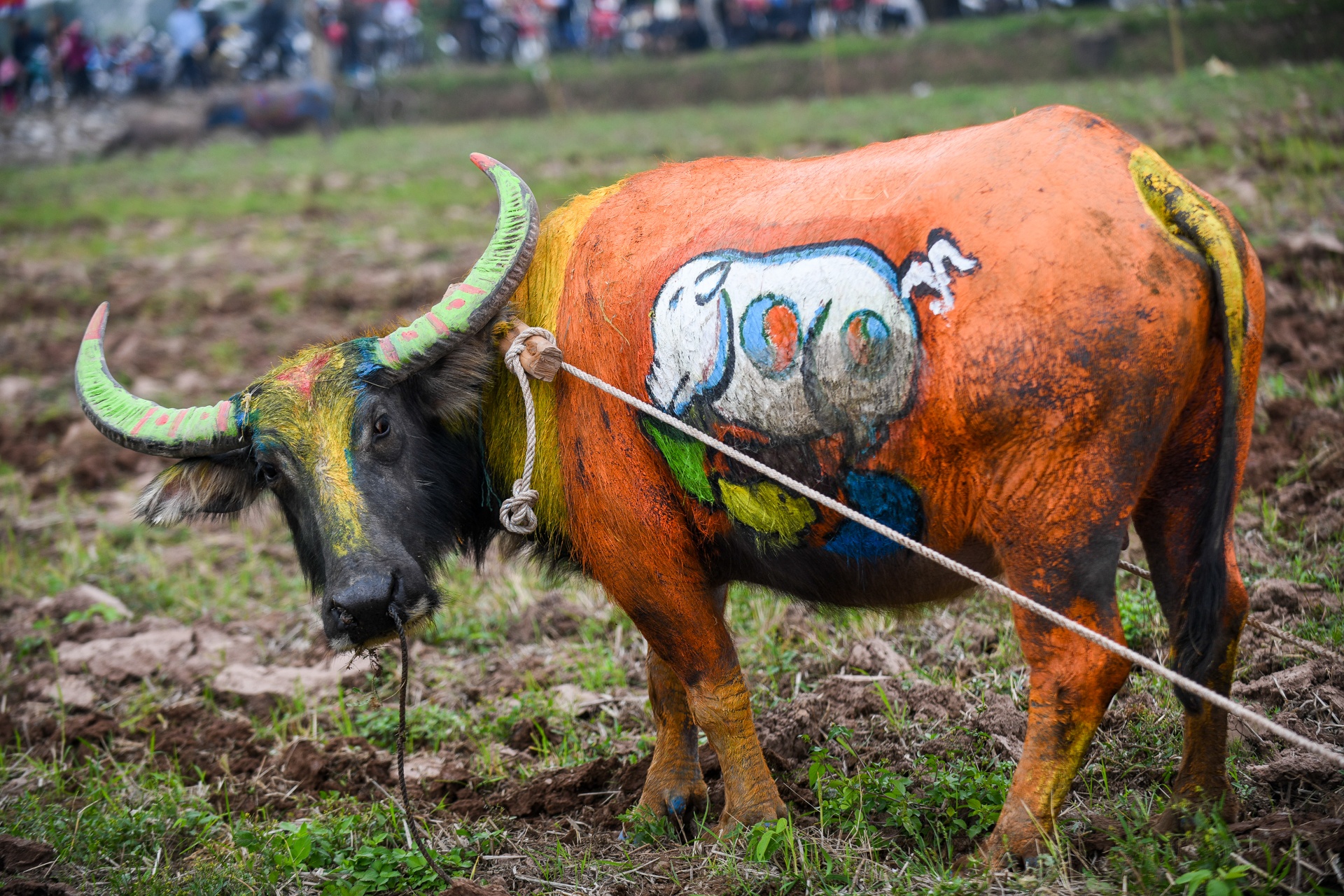 Pho thu tuong Truong Hoa Binh du le hoi Tich Dien anh 8