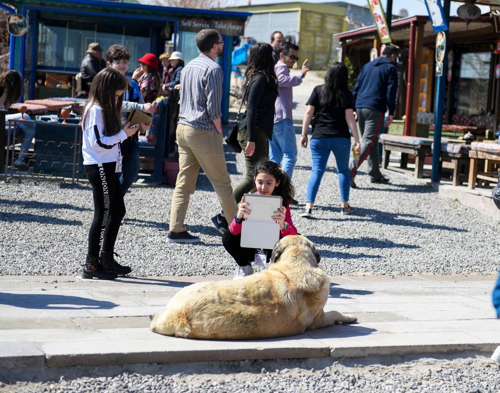 cho khong ro mom o nuoc ngoai anh 7