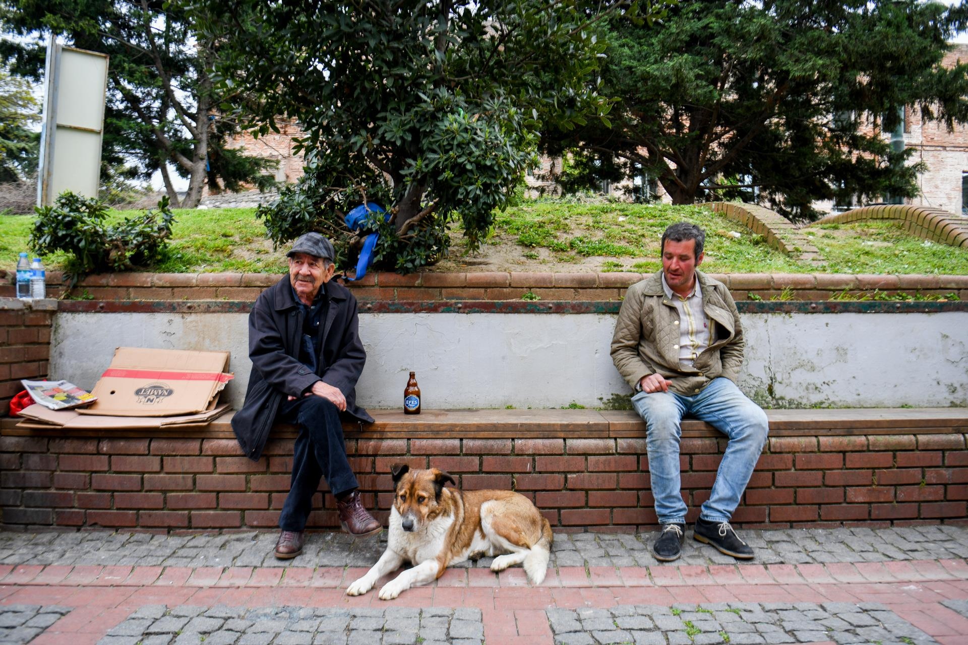 cho khong ro mom o nuoc ngoai anh 8