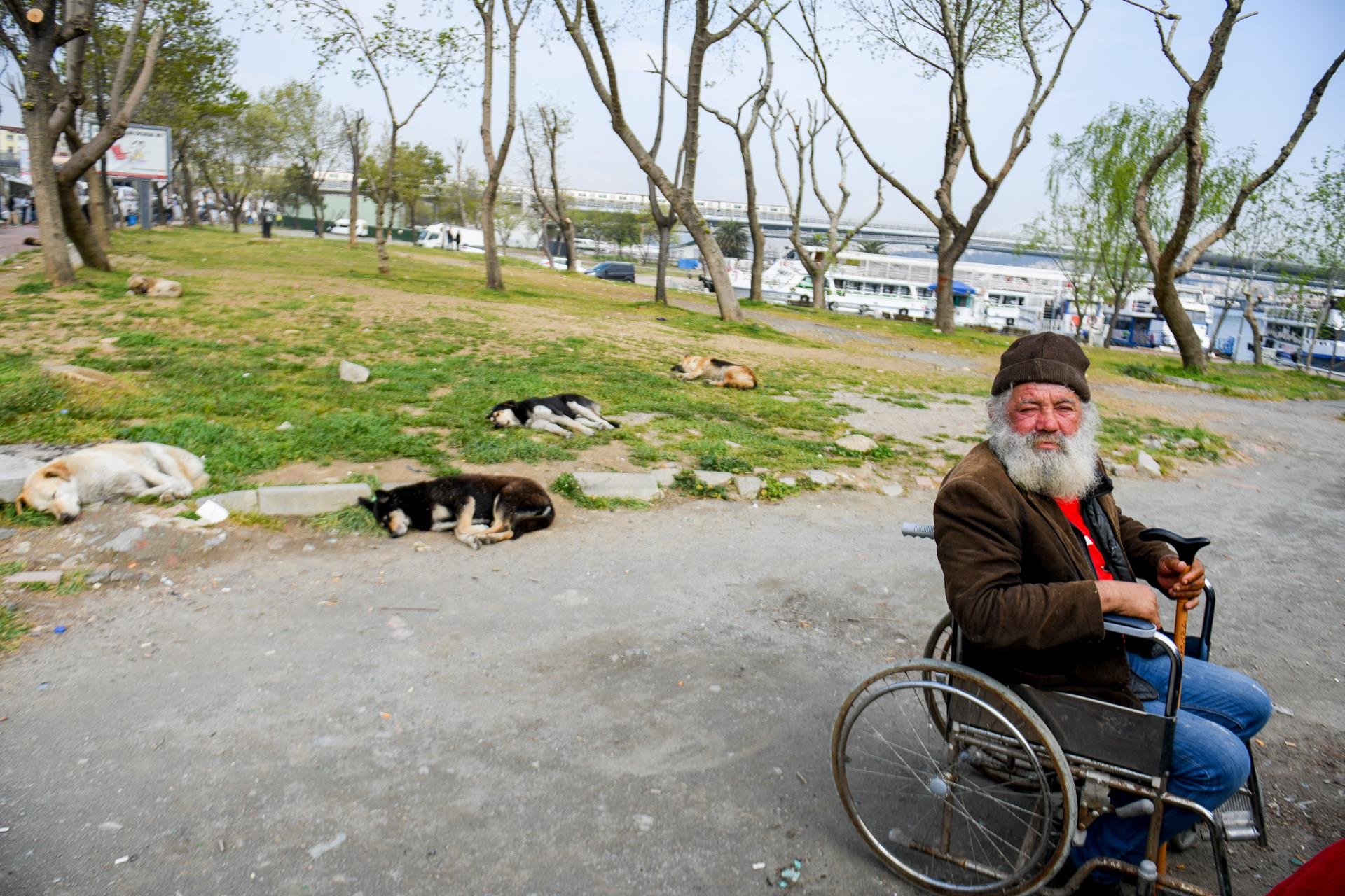 cho khong ro mom o nuoc ngoai anh 9