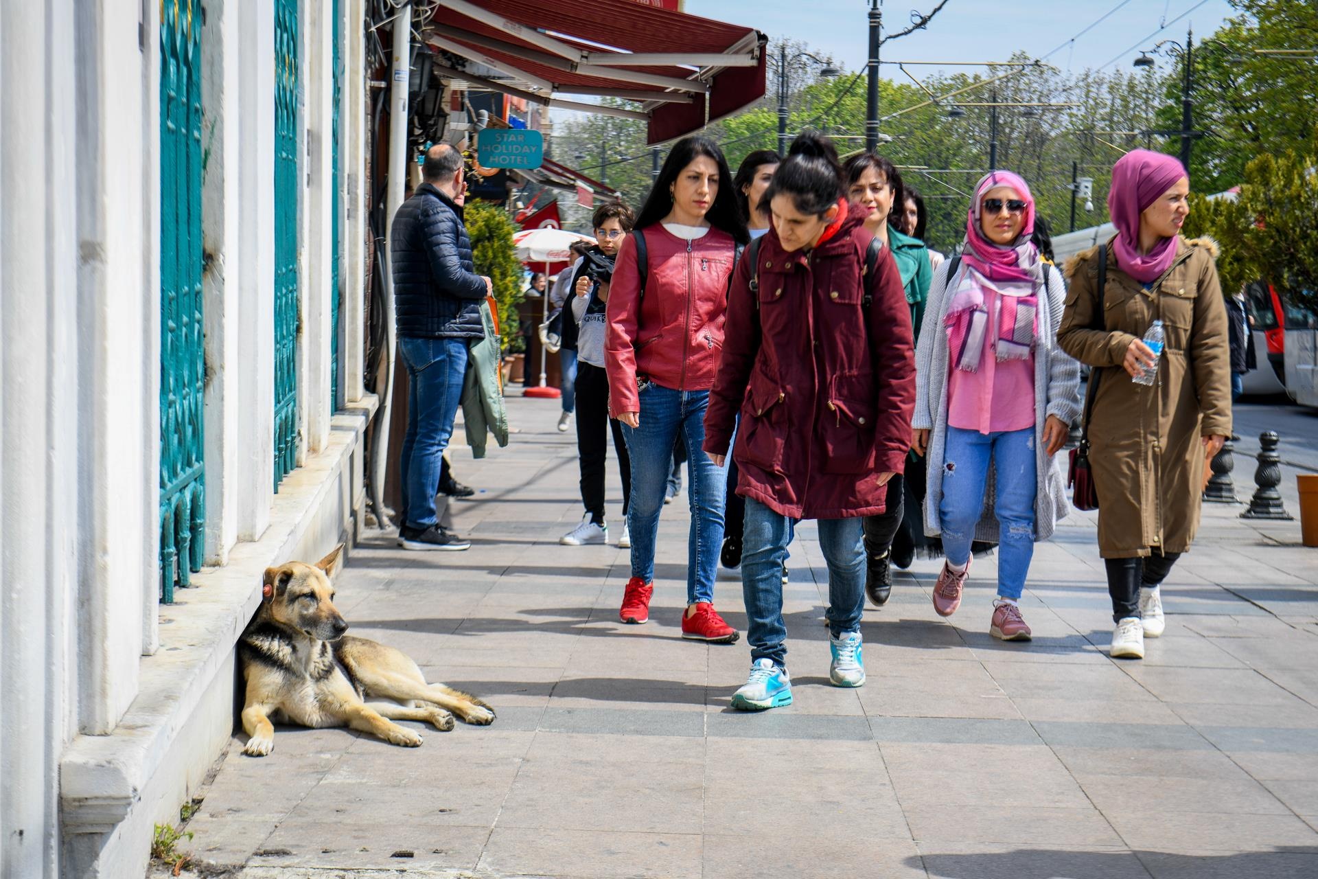 cho khong ro mom o nuoc ngoai anh 3