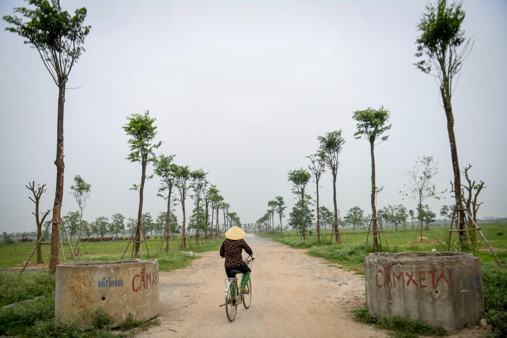 khu do thi bo hoang o Me Linh anh 1